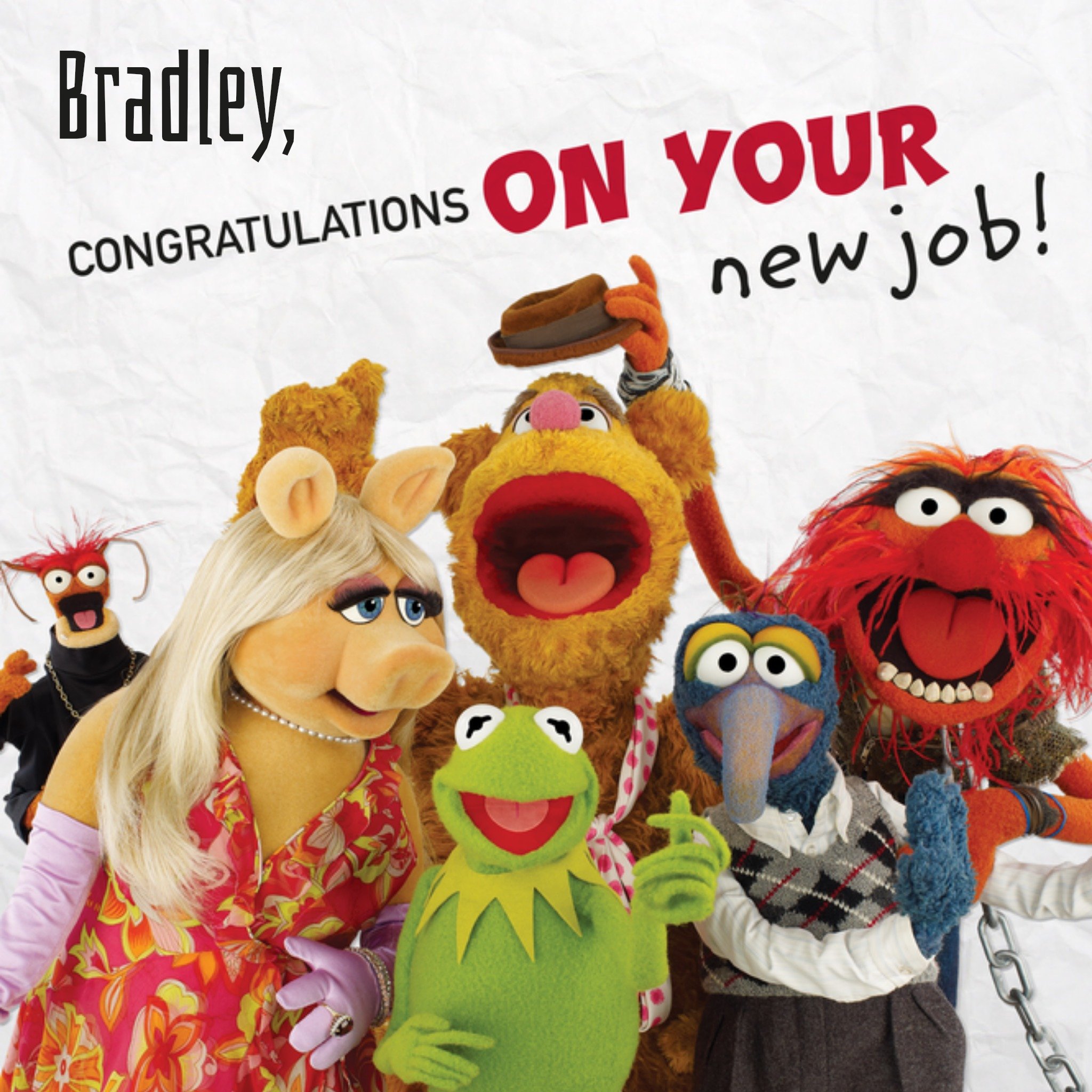 Muppets Nieuwe baan kaart Met naam Vierkante Kaart Disney