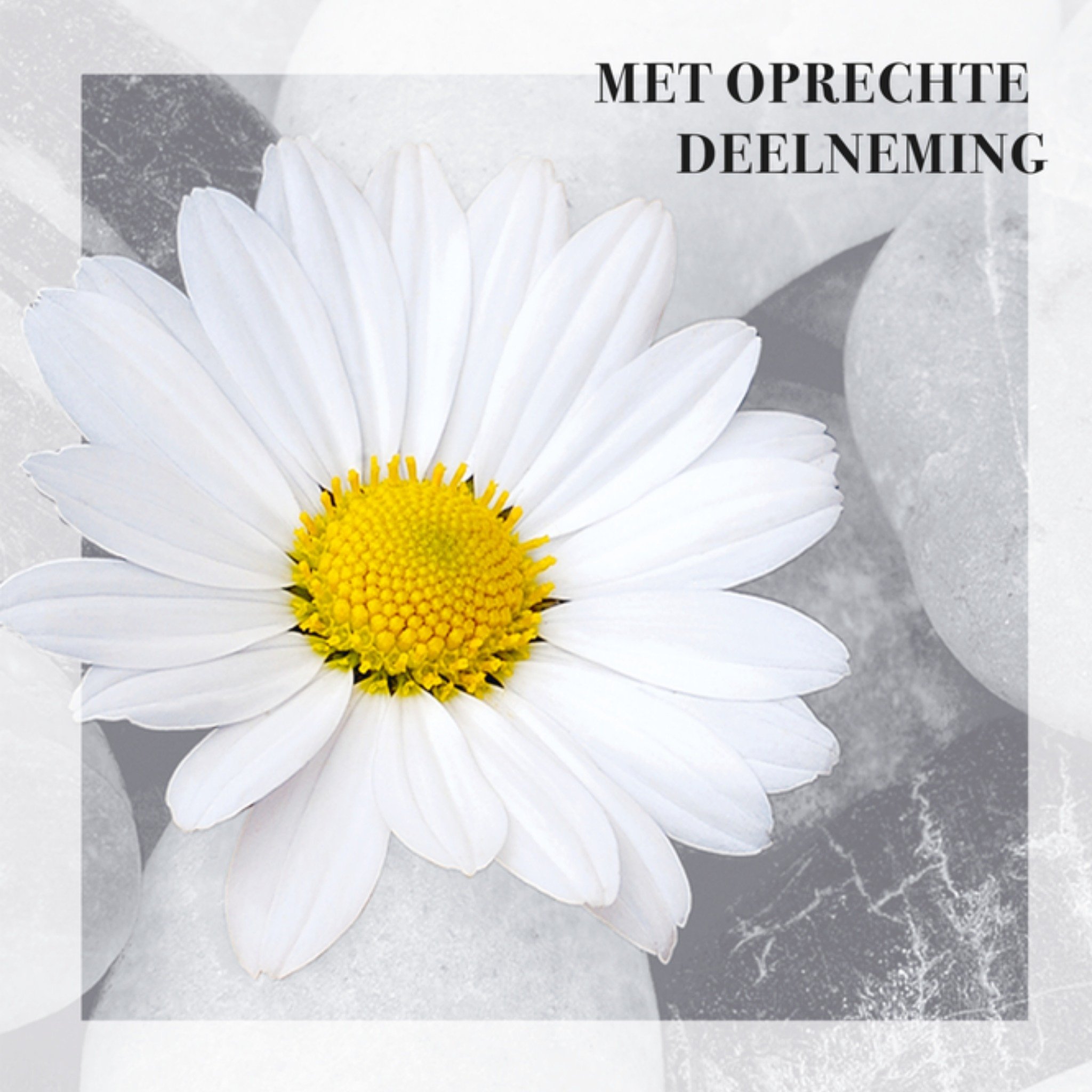 Condoleancekaart Oprechte deelneming Vierkante Kaart TMS