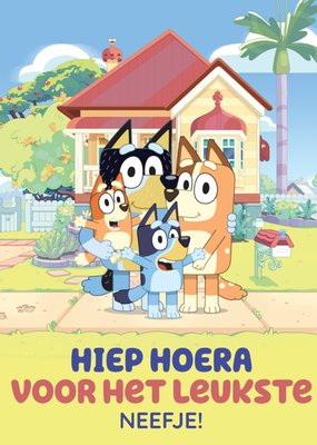 Bluey Hiep Hoera Voor Het Leukste Neefje Verjaardag Kaart