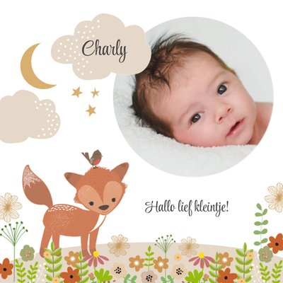 Hallo Lief Kleintje Geïllustreerde Vos Foto Upload Geboorte Kaart