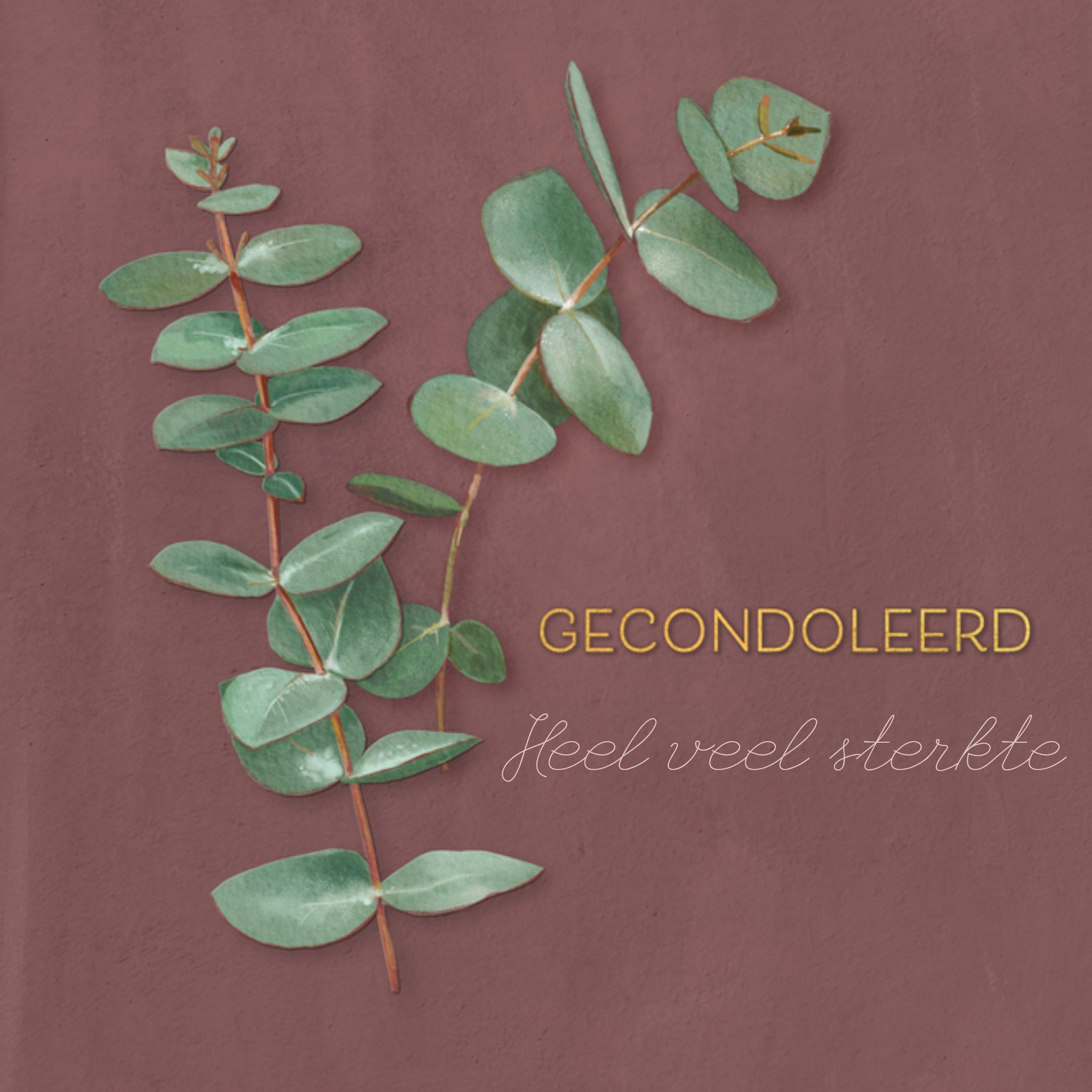 Petit Konijn Condoleancekaart veel sterkte Vierkant