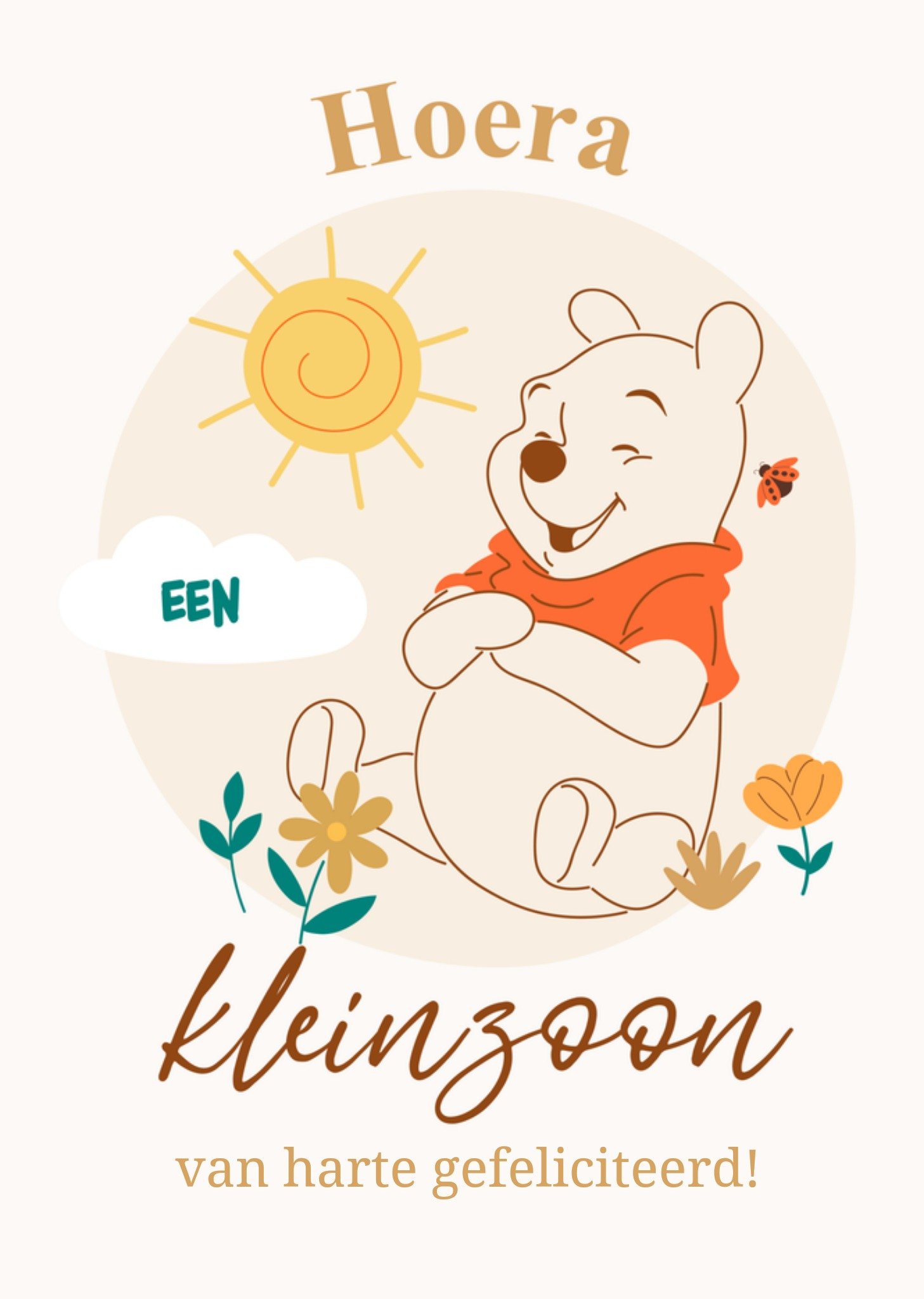 Geboortekaart Winnie the Pooh Kleinzoon Kaart Disney