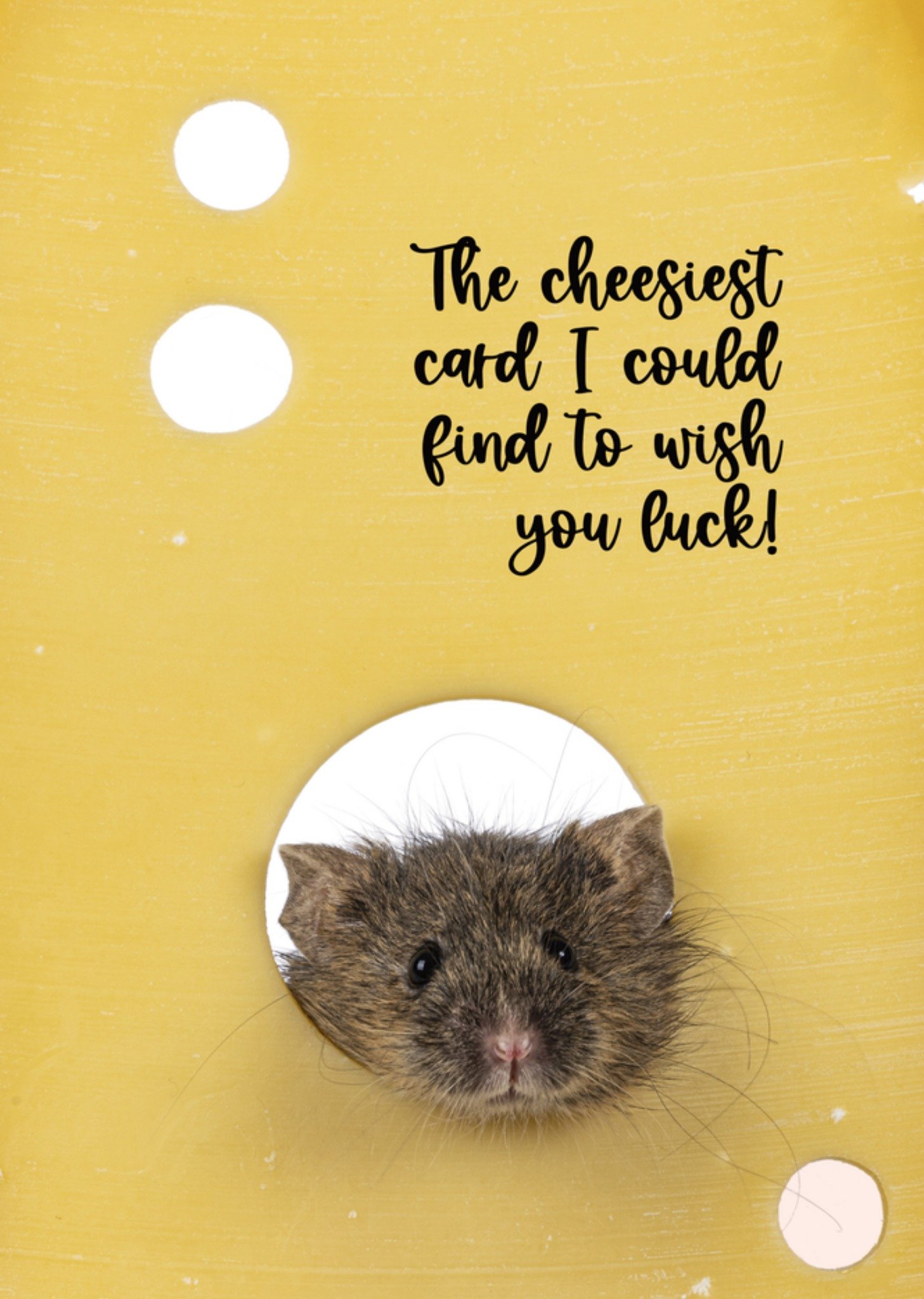 Succeskaart cheesey oom Catchy Images