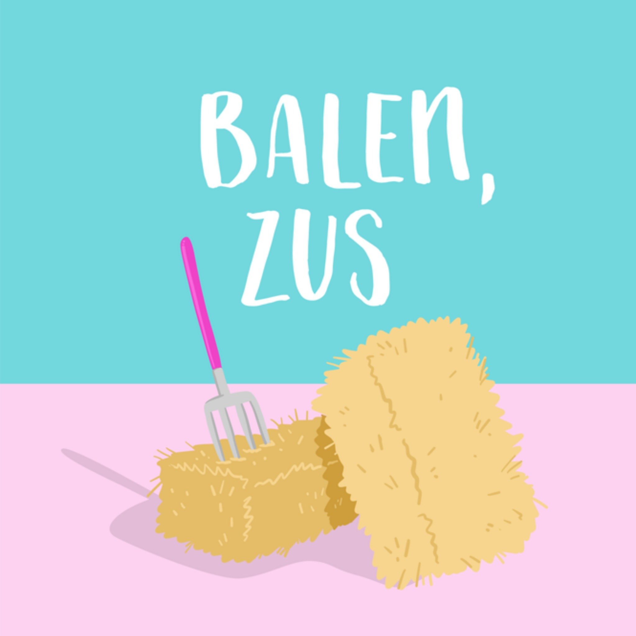 Greetz Gezakt kaart Hooibaal Vierkant