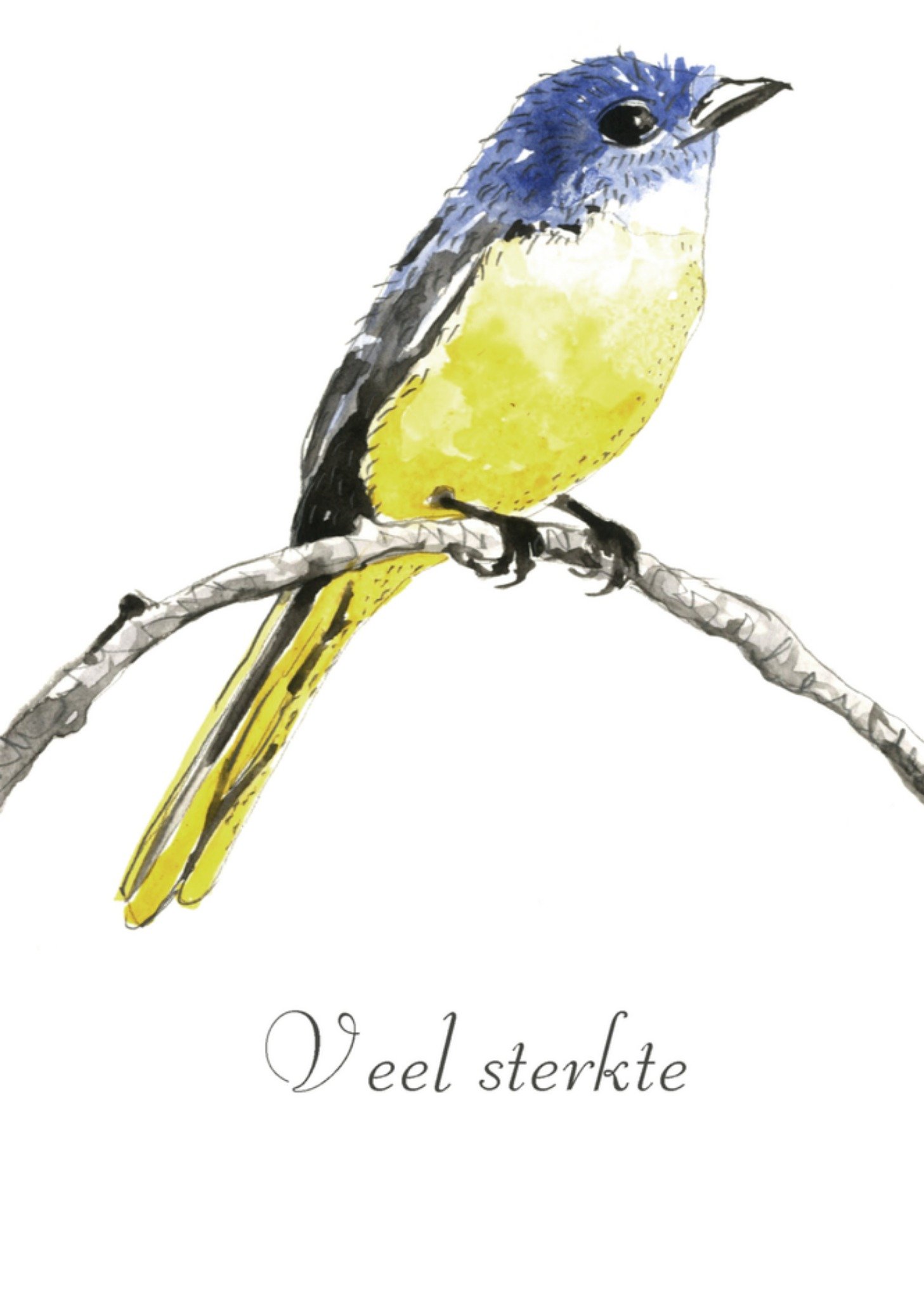Sterkte kaart vogeltje Greetz