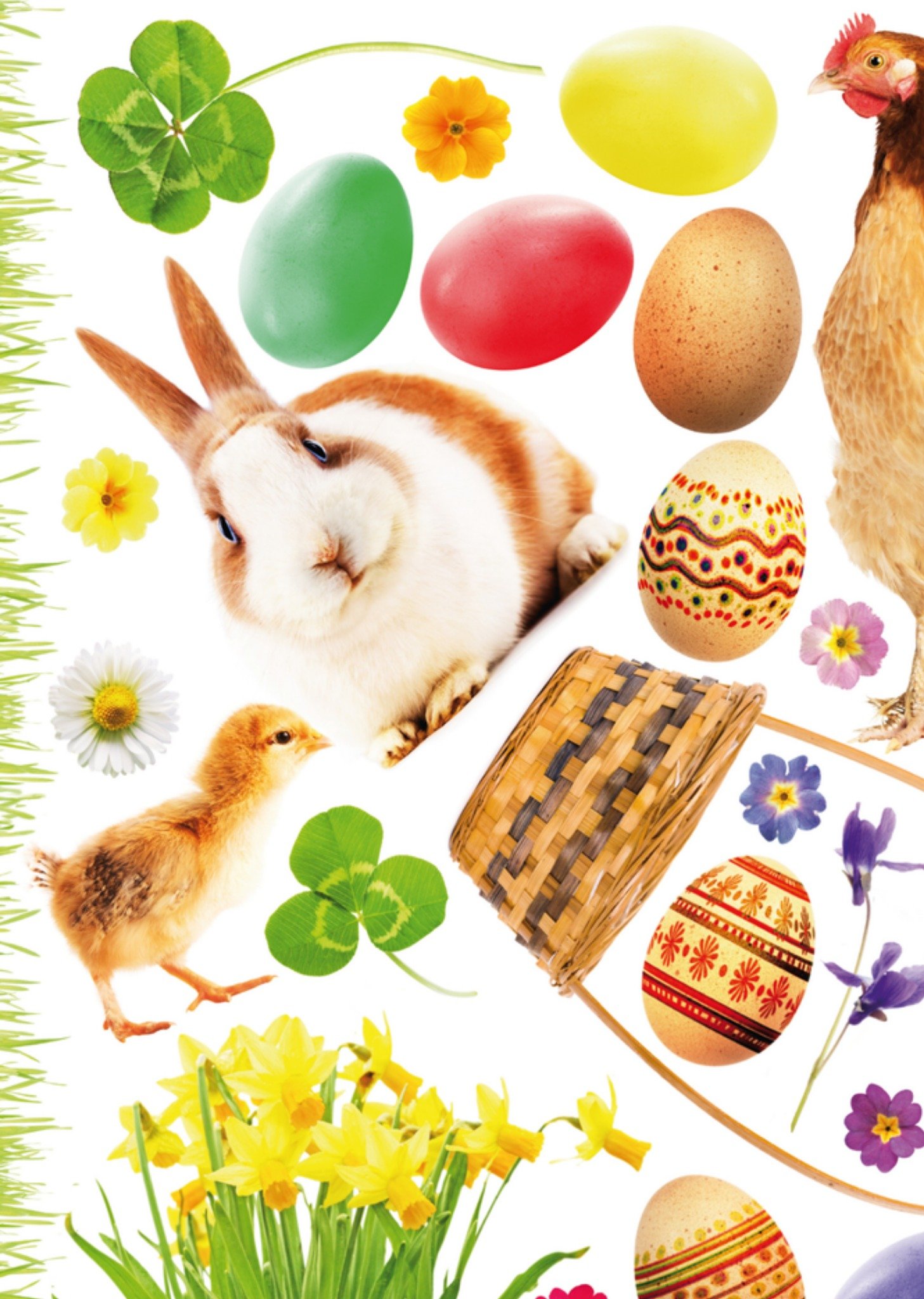 Paaskaart kuiken konijn Kaart Paperclip