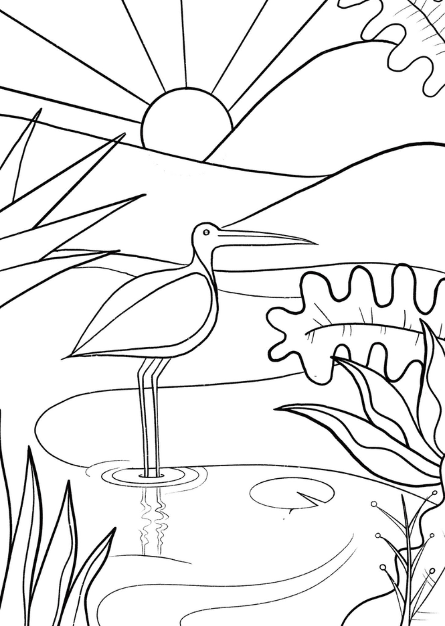 Kleurplaatkaart Vijver Kaart Greetz