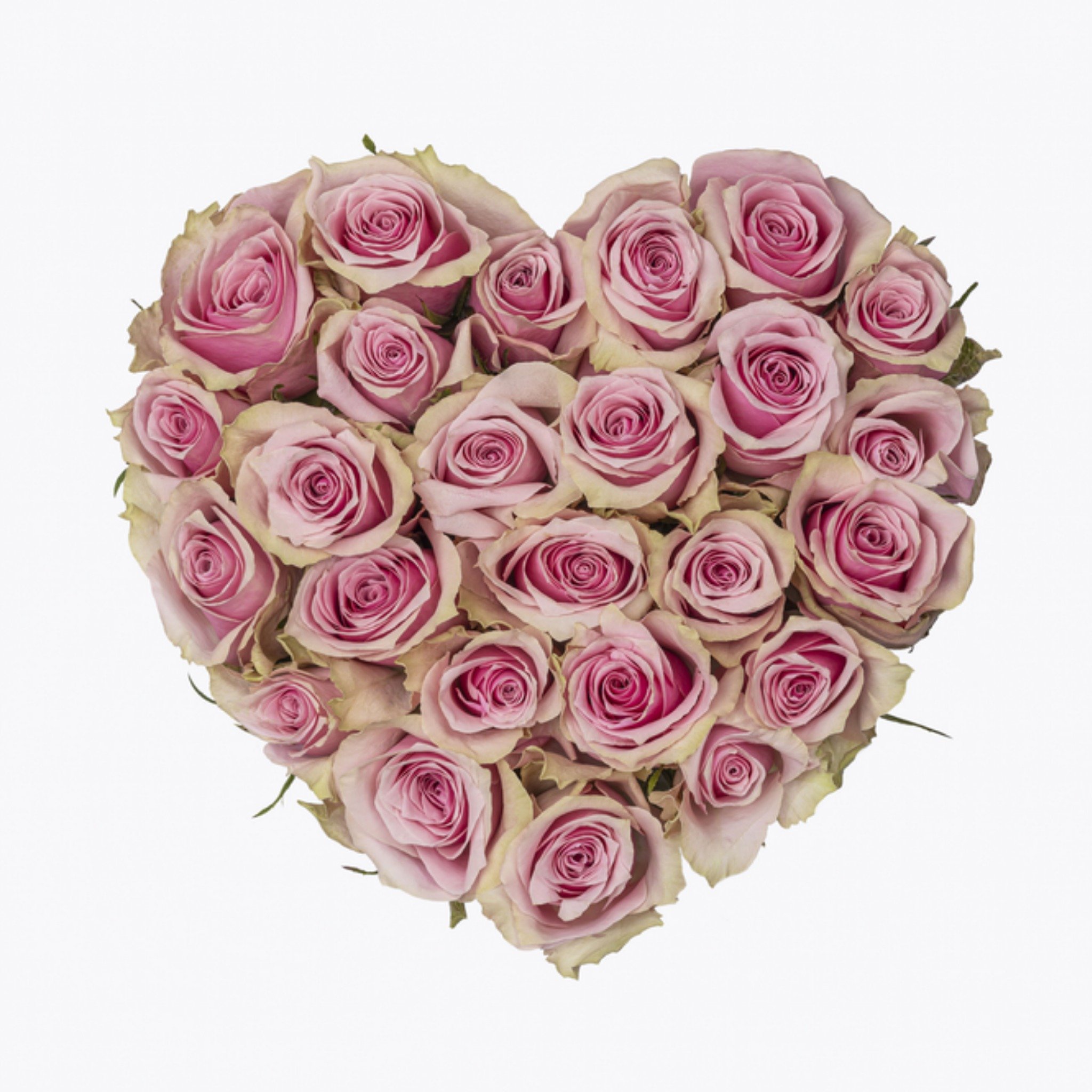 Condoleancekaart Rozen Vierkante Kaart Catchy Images