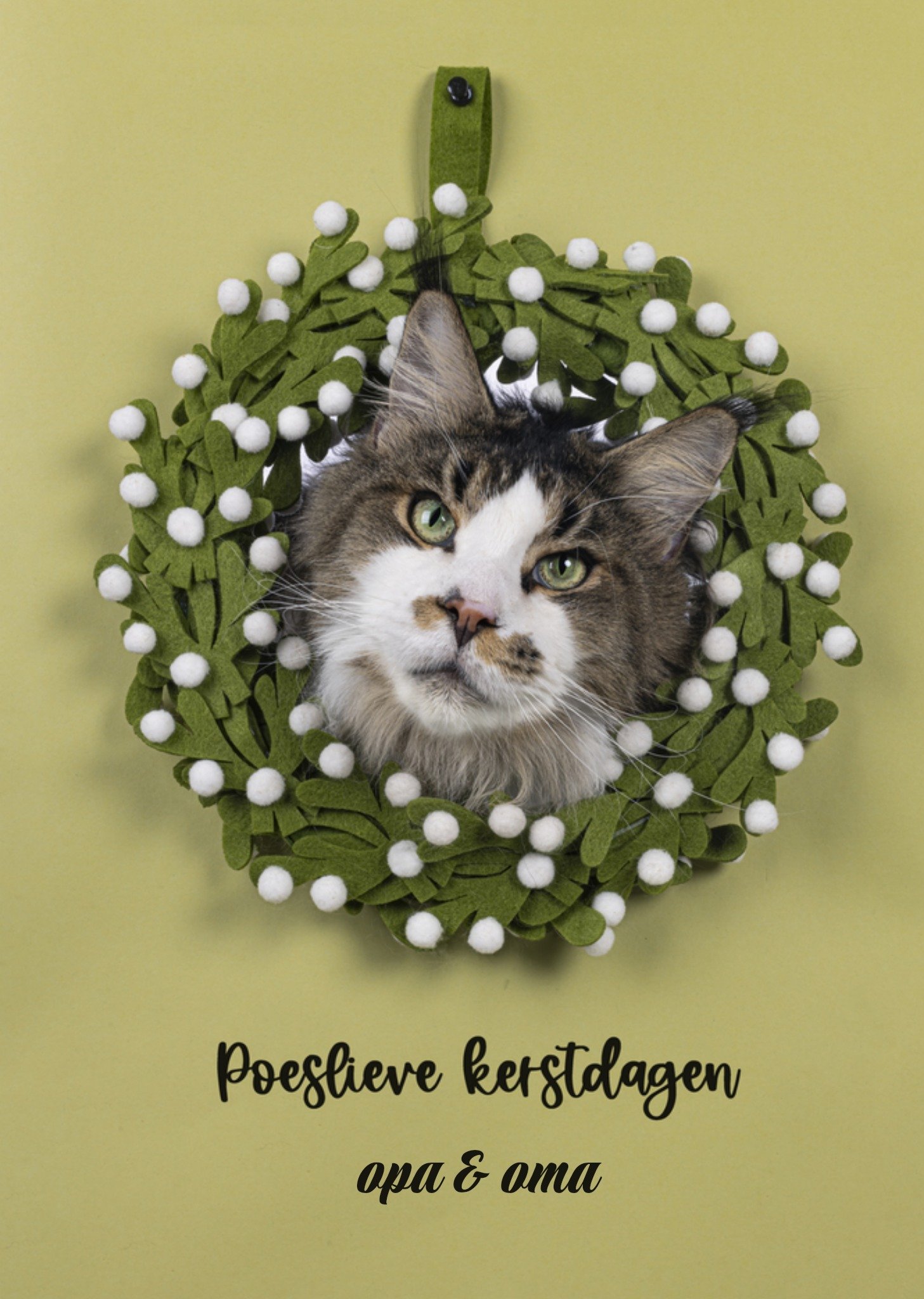 Kerstkaart kat Catchy Images
