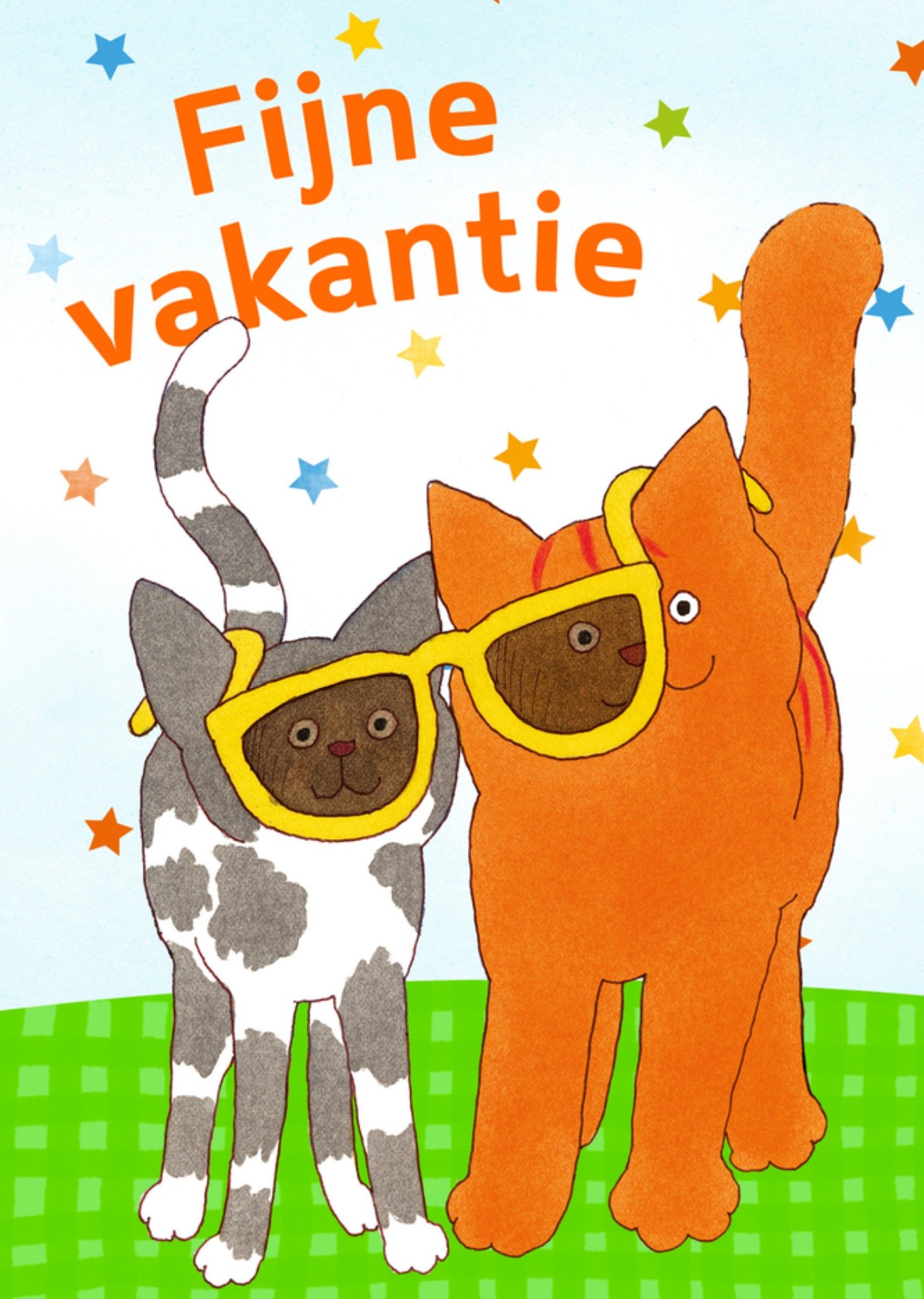Dikkie Dik - Vakantiekaart - zonnebril