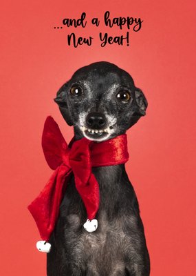 Catchy Images | Kerstkaart | dieren | ...and a happy new year!