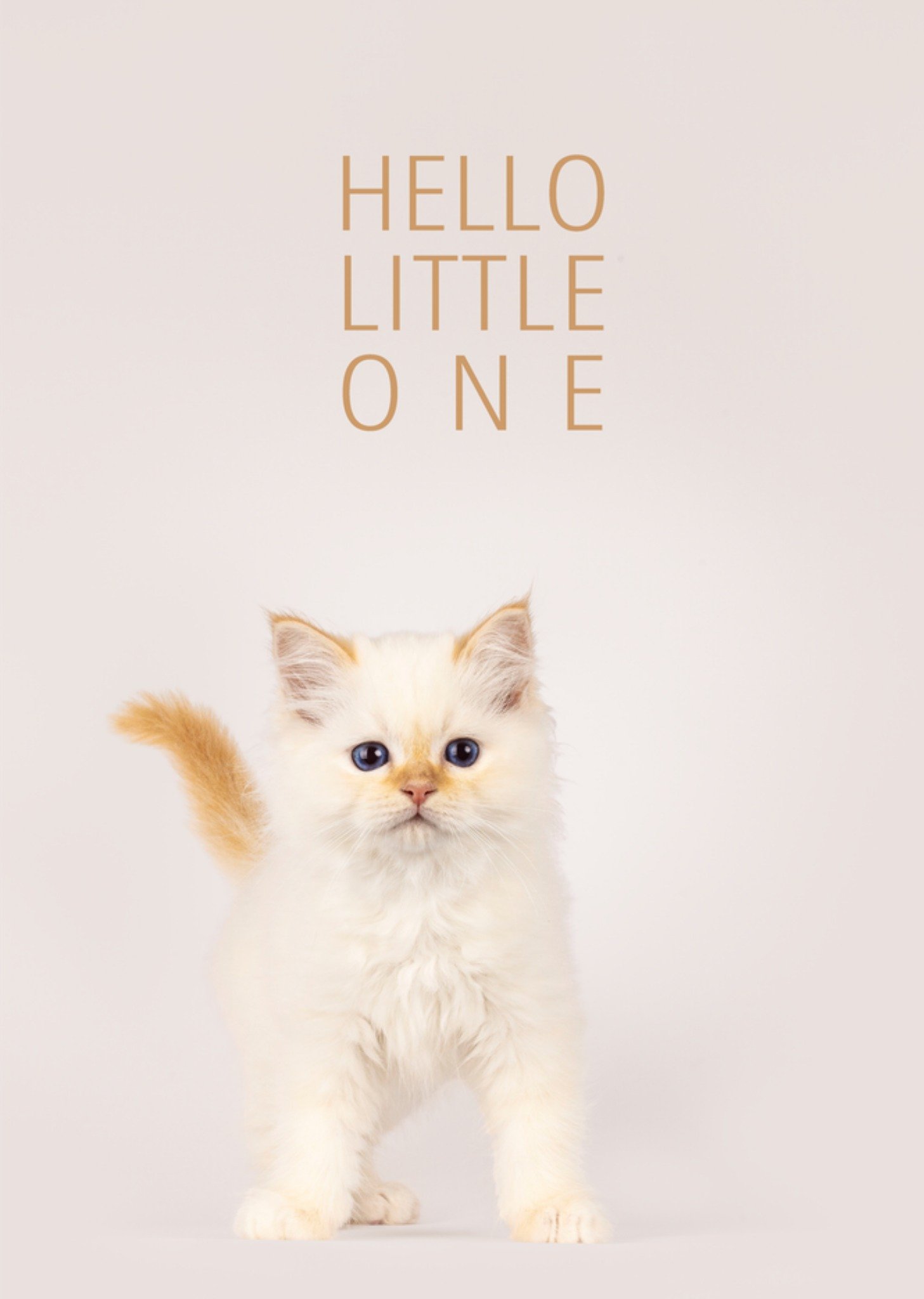 Catchy Images Geboortekaart Hello little one Standard Card