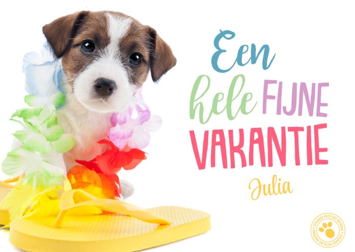 Studio Pets | Vakantiekaart | hondje | met naam