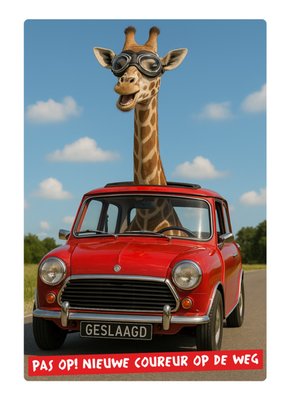 Greetz | Rijbewijskaart | Geslaagd Nieuwe Coureur Op De Weg