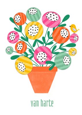 Geïllustreerd Bloemen In Pot Felicitatie Kaart