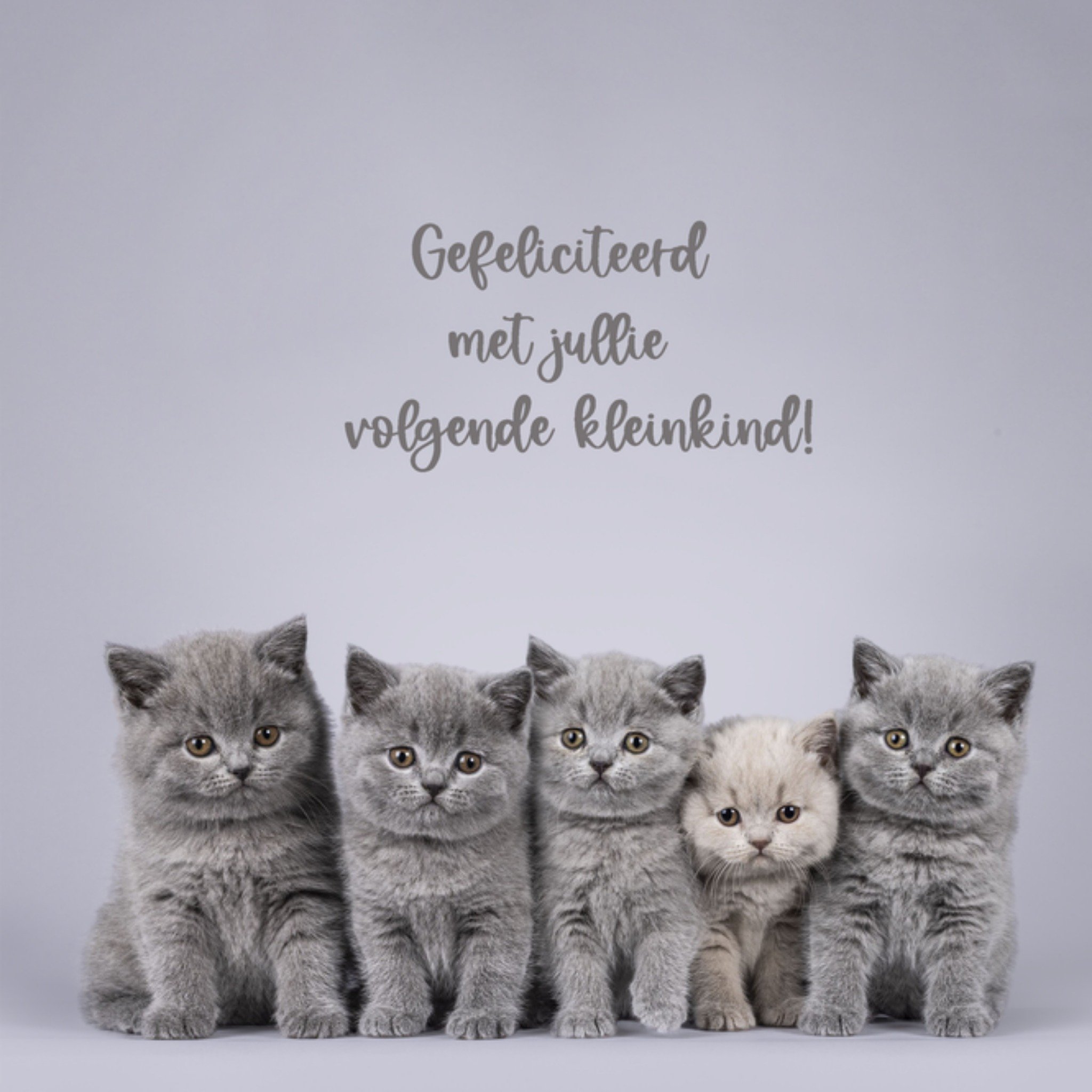 Geboortekaart Kleinkind Vierkante Kaart Catchy Images