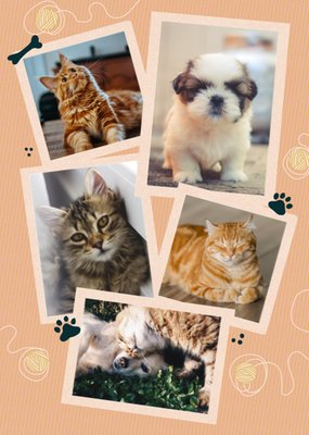 Greetz | Dierendag kaart | fotokaart