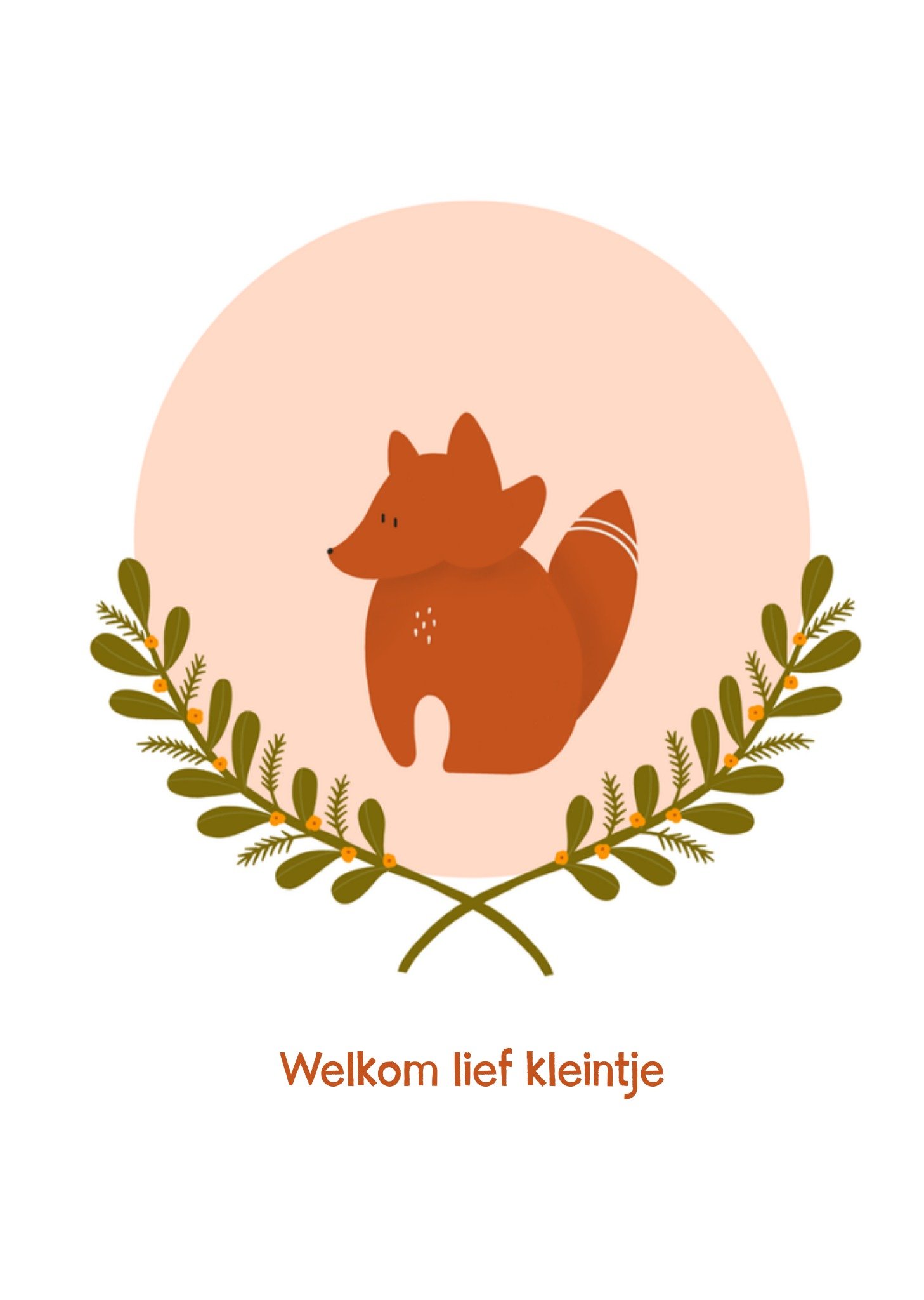 Greetz Geboortekaart vos Standard Card