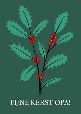 Greetz | Kerstkaart | fijne kerst opa | hulst