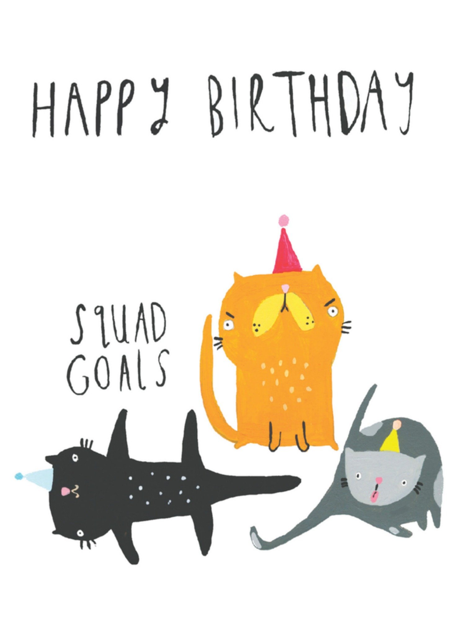 Sooshichacha Verjaardagskaart grappig Kaart Sooshichacha Limited