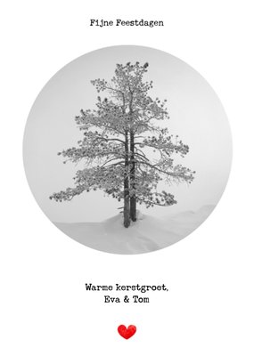 Bright Spot | Kerstkaart | Warme kerstgroetjes | Aanpasbare tekst