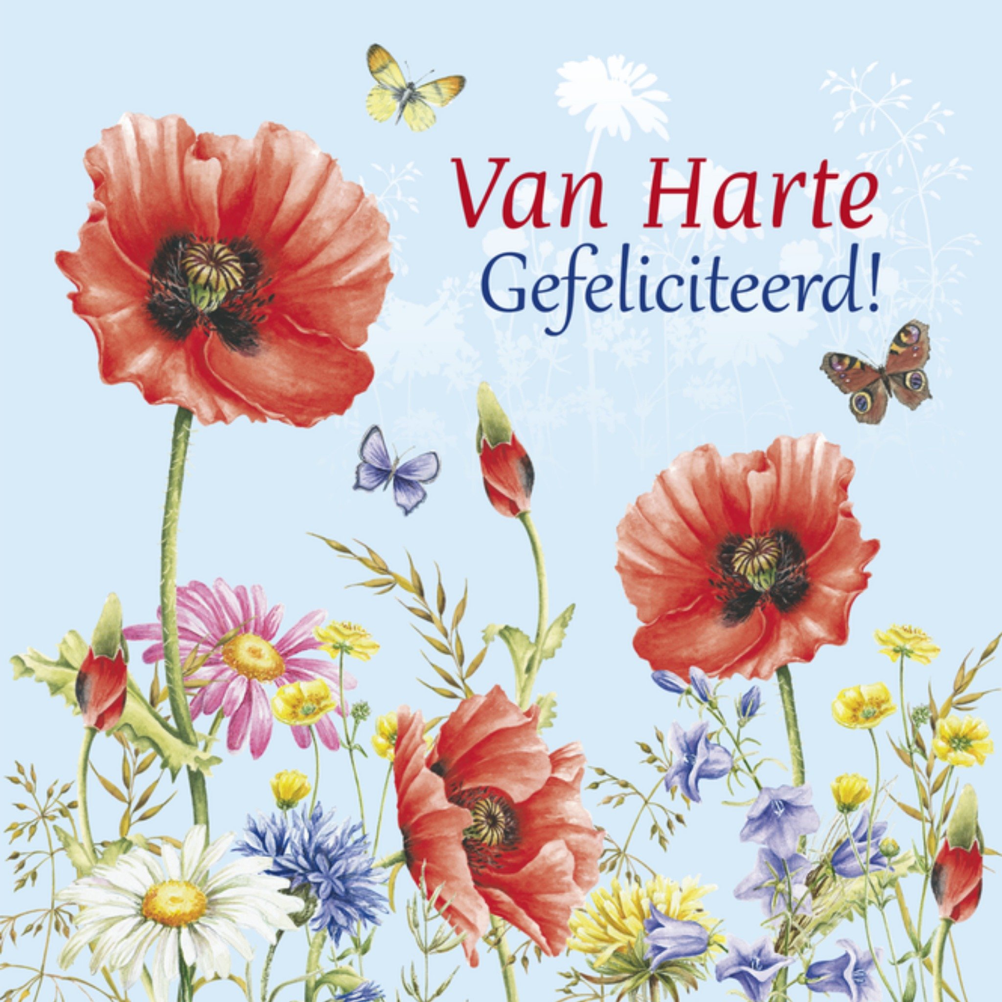 Vrolijke felicitatiekaart met bloemen Vierkante Kaart Janneke Brinkman