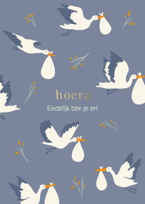 Greetz | Geboortekaart | Adoptie | Met aanpasbare tekst