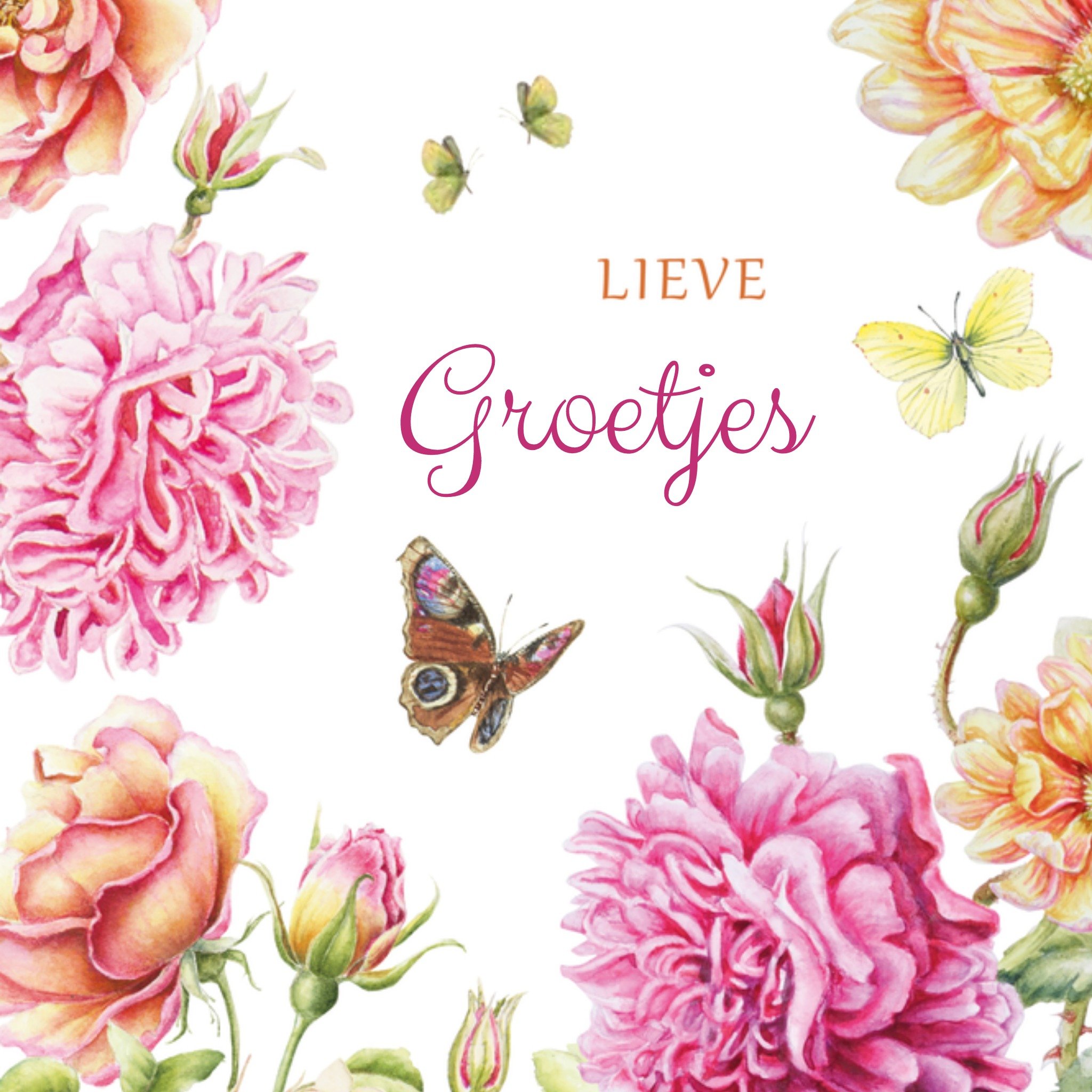 Zomaarkaart Lieve Groetjes Vierkante Kaart Janneke Brinkman