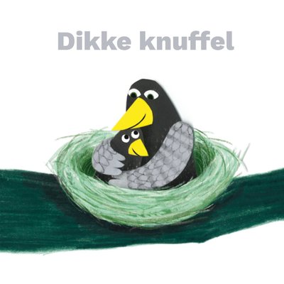 Dikke Knuffel Geïllustreerde Vogels Kaart