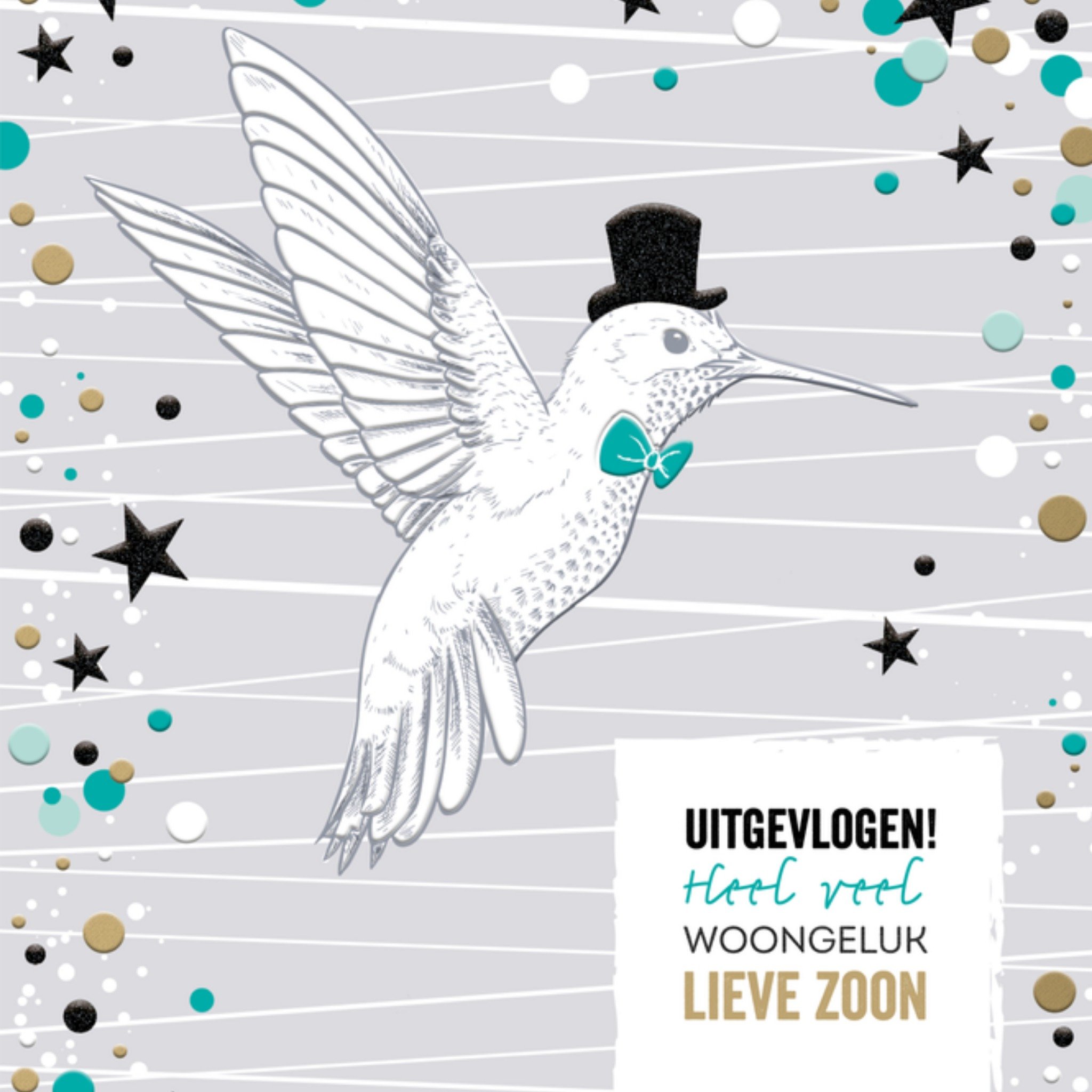 Nieuwe woning kaart zoon vogel Vierkante Kaart TMS