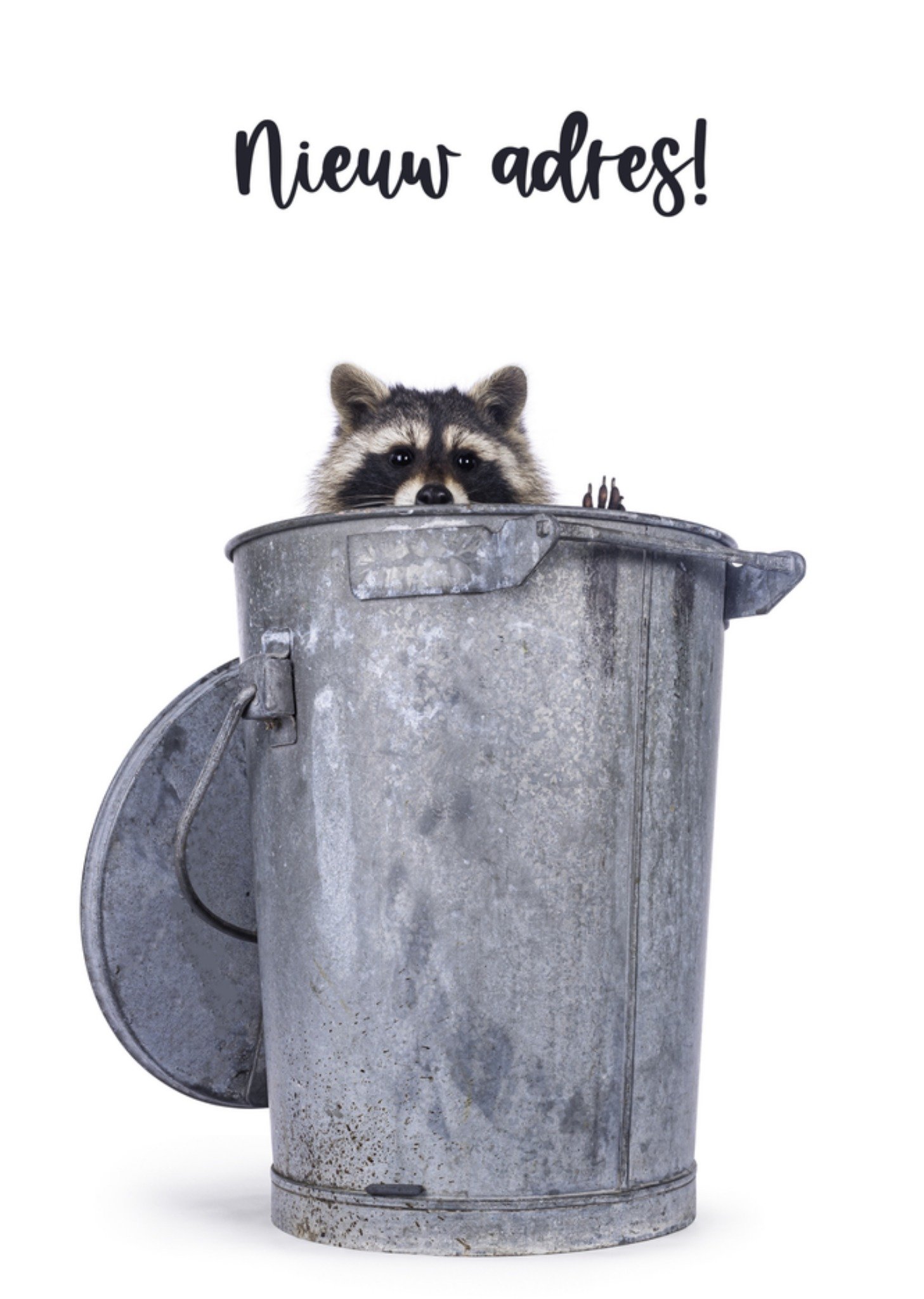 Verhuiskaart wasbeer Kaart Catchy Images