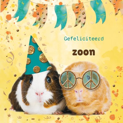 Cavia's Met Feesthoed Gefeliciteerd Zoon Kaart