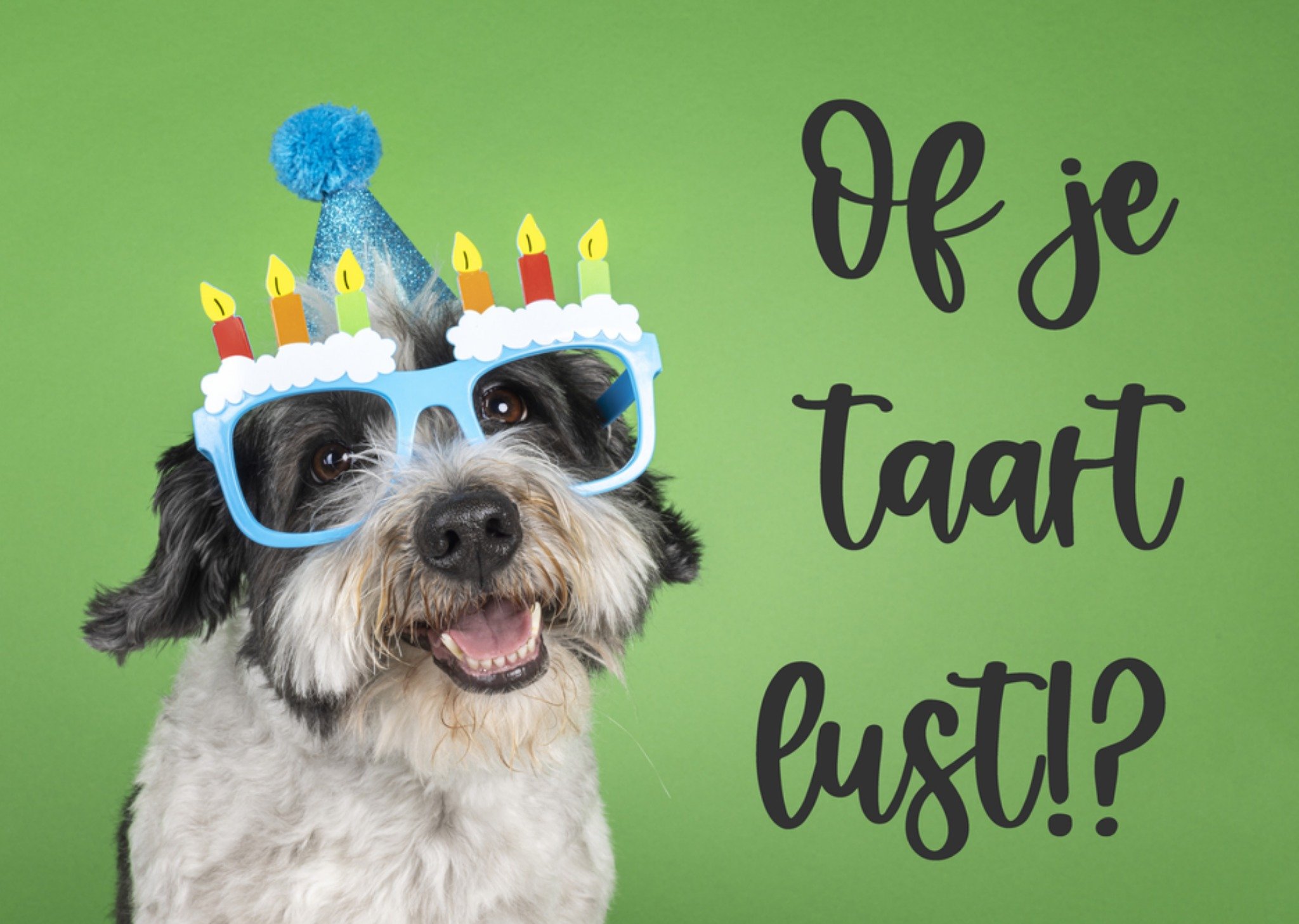 Catchy Images - Uitnodiging verjaardag - hond