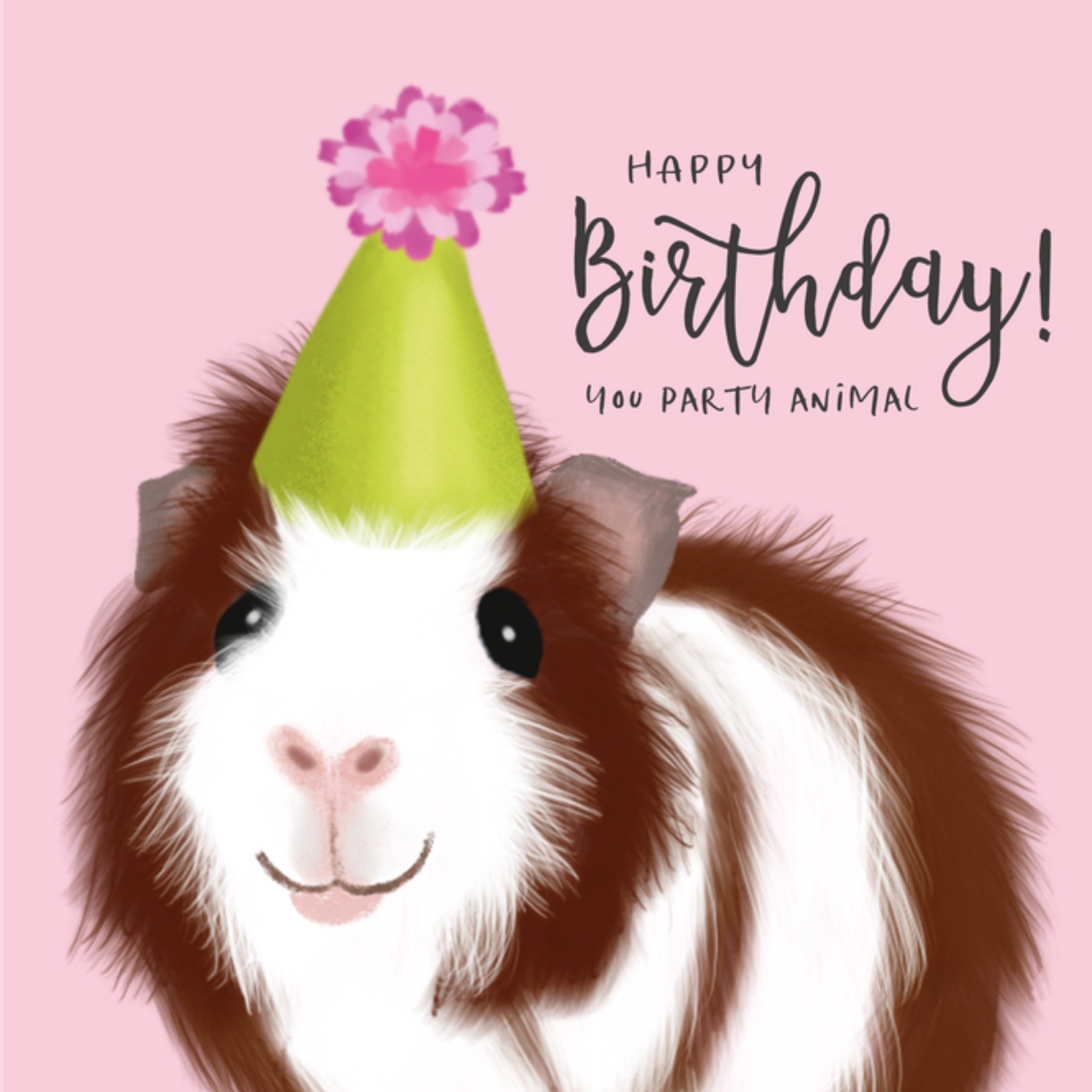 Verjaardagskaart Cavia Party animal Vierkante Kaart Tsjip