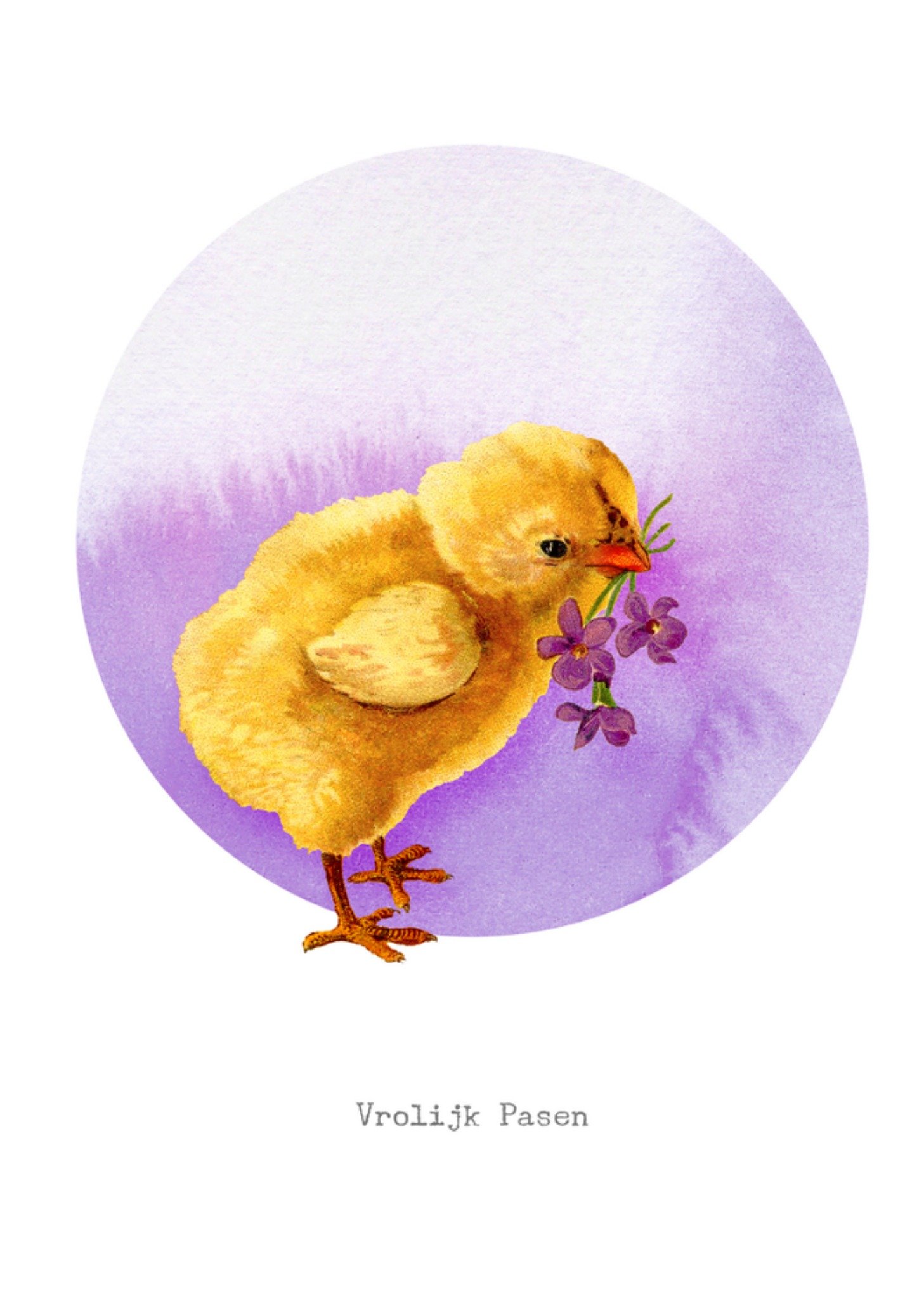 Paaskaart kuiken Kaart Bright Spot