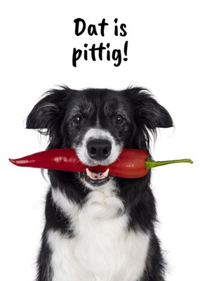 Catchy Images | Denken aan kaart | Dat is pittig
