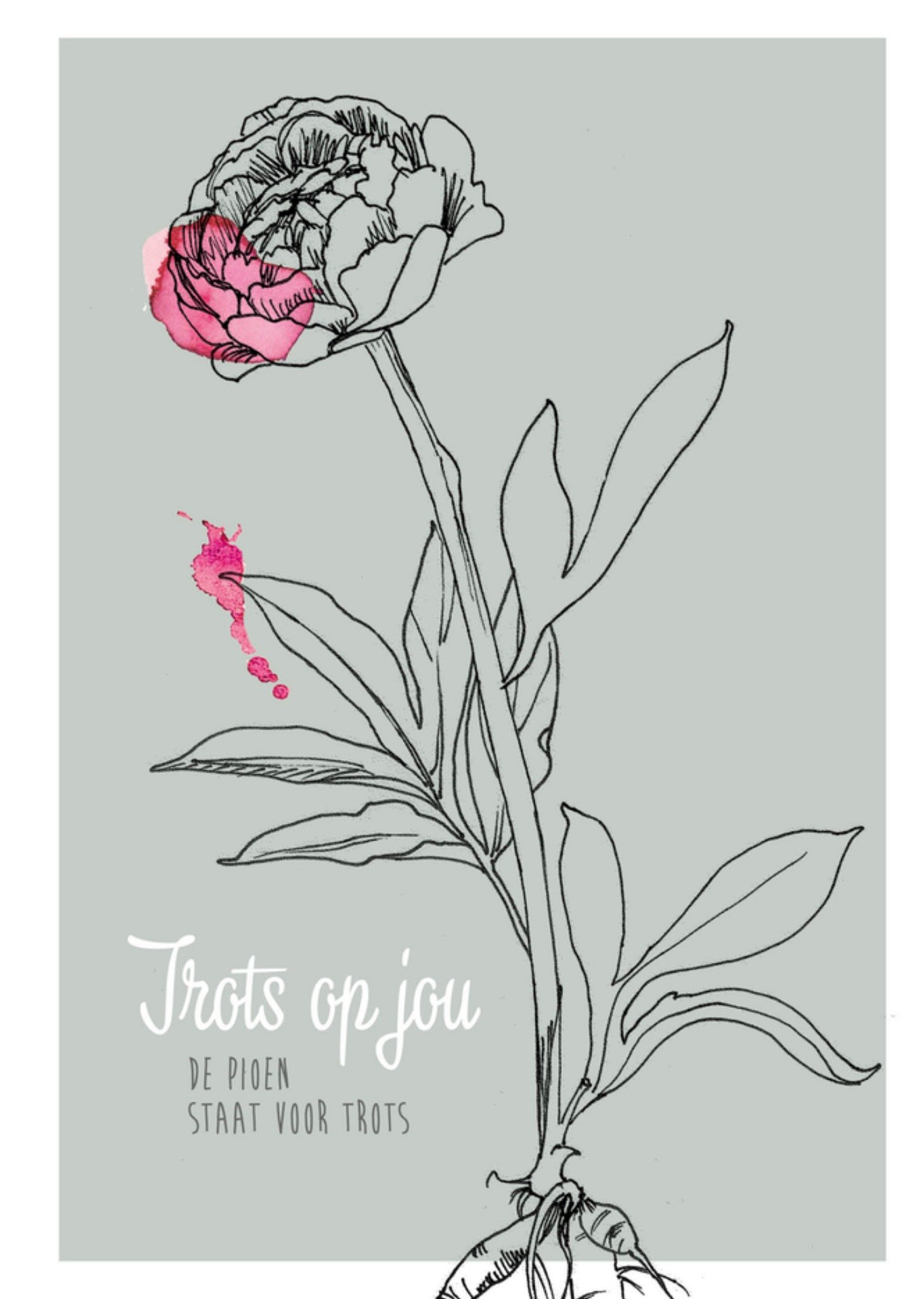 Complimentenkaart Trots op jou Pioen voor trots Kaart Veer Moon