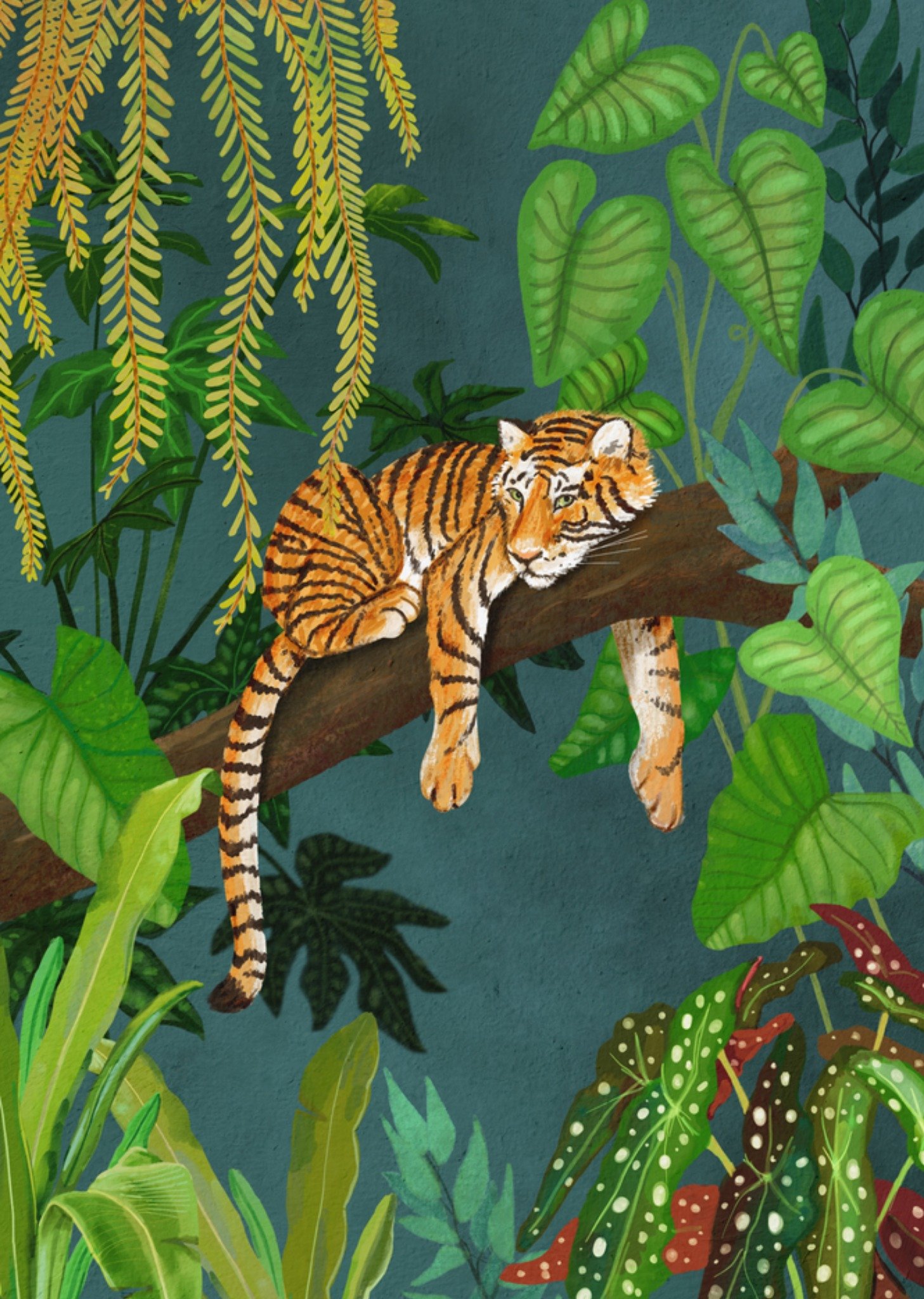 Zomaarkaart jungle tijger Kaart Petit Konijn
