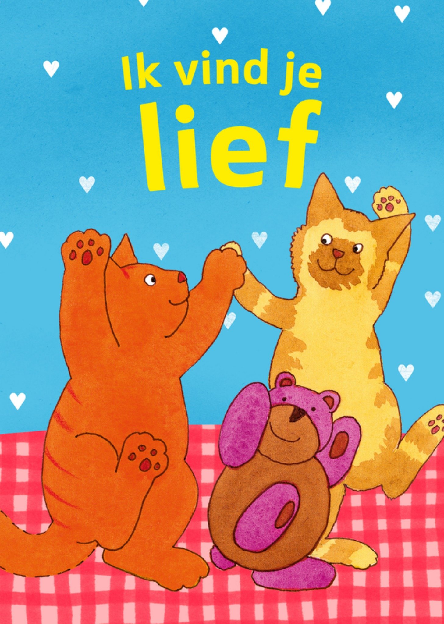 Vriendschapskaart ik vind je lief Kaart Dikkie Dik