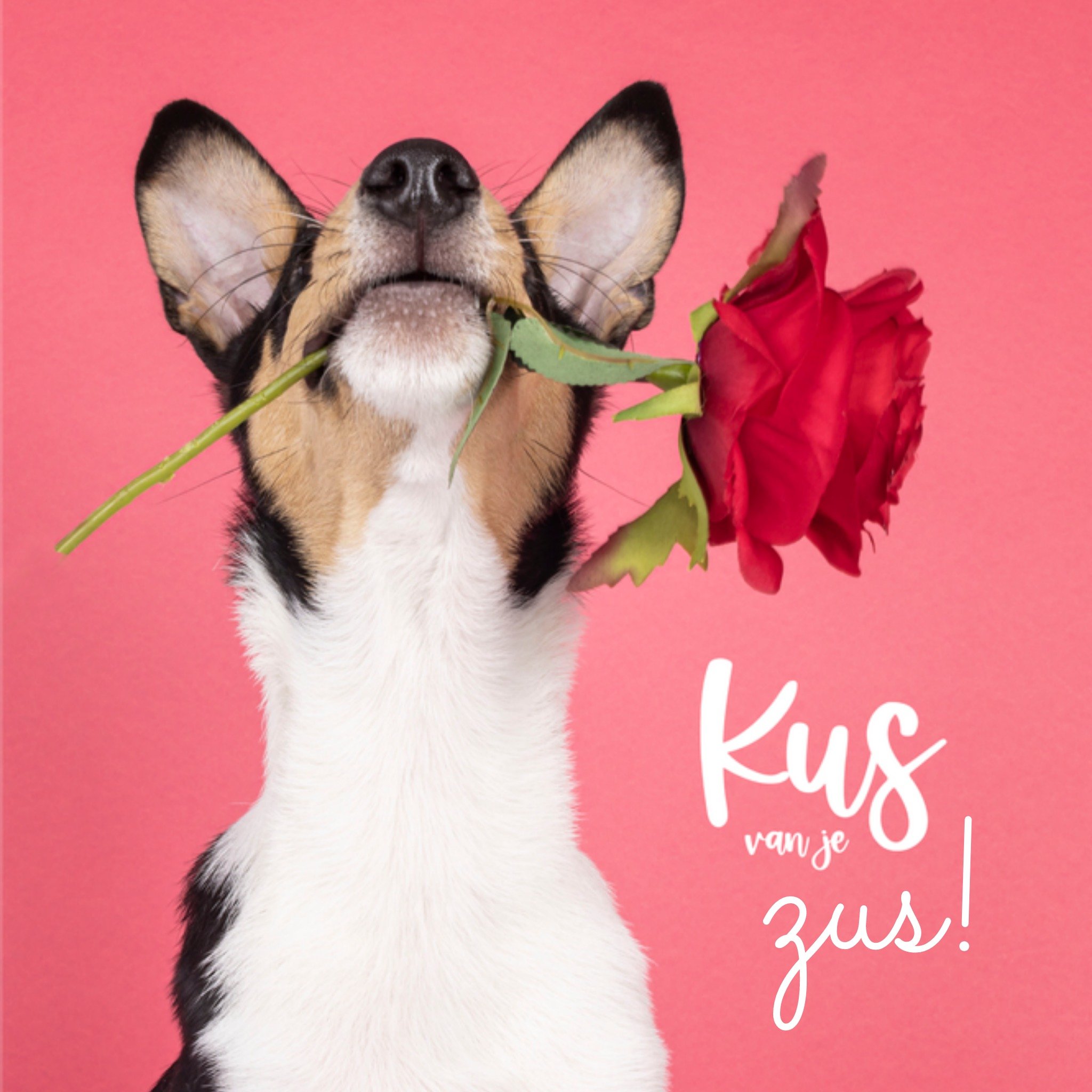 Verjaardagskaart Zus Vierkante Kaart Catchy Images