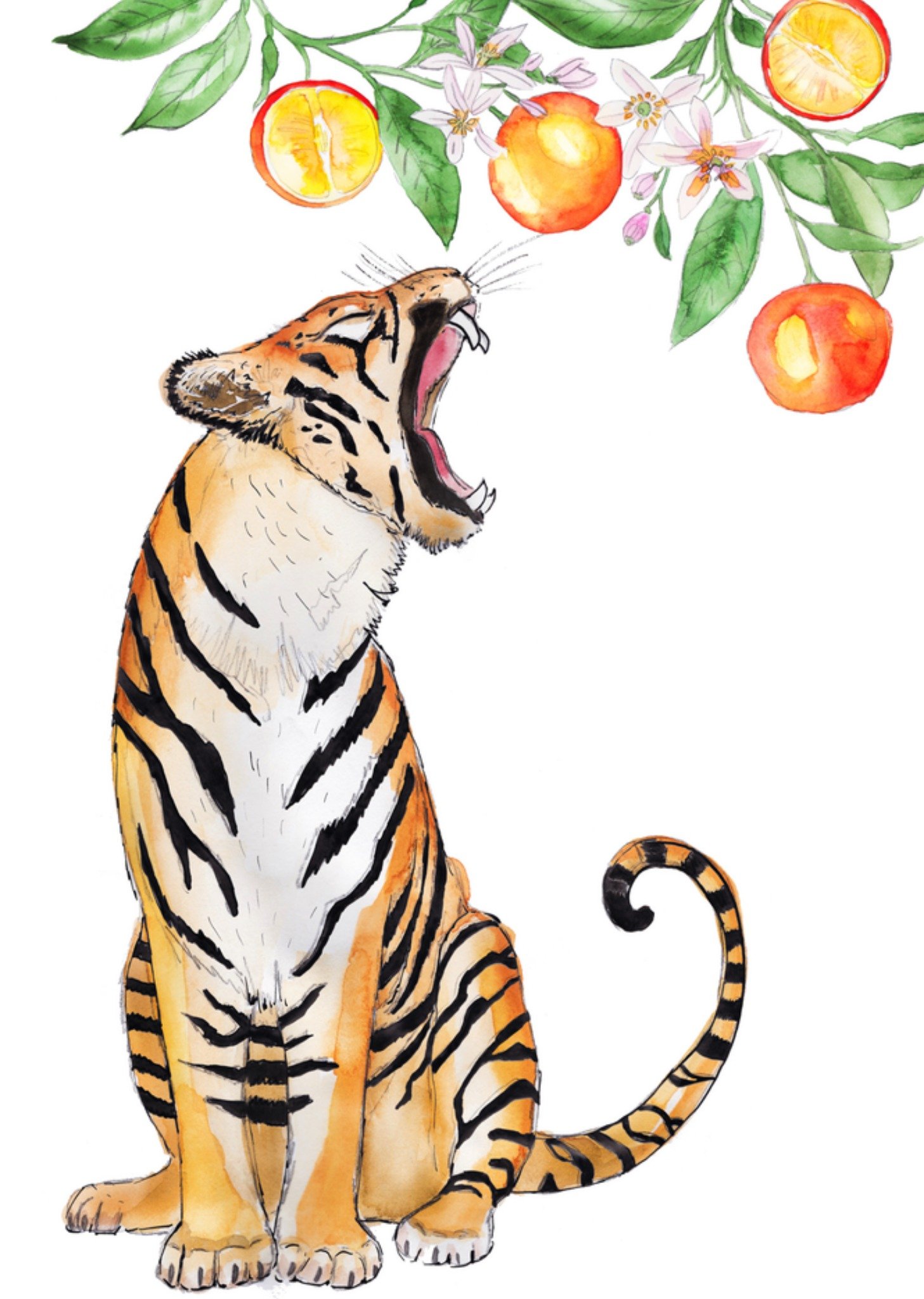 Beterschapskaart Tijger Kaart Marie Bodié