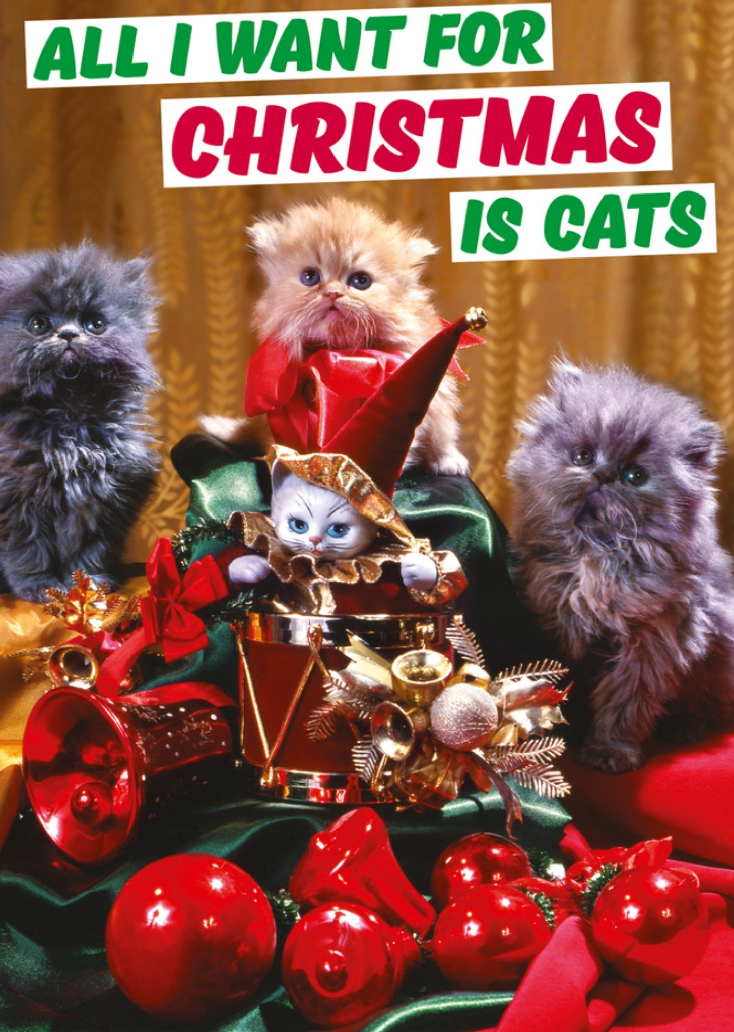 Kerstkaart katten Dean Morris