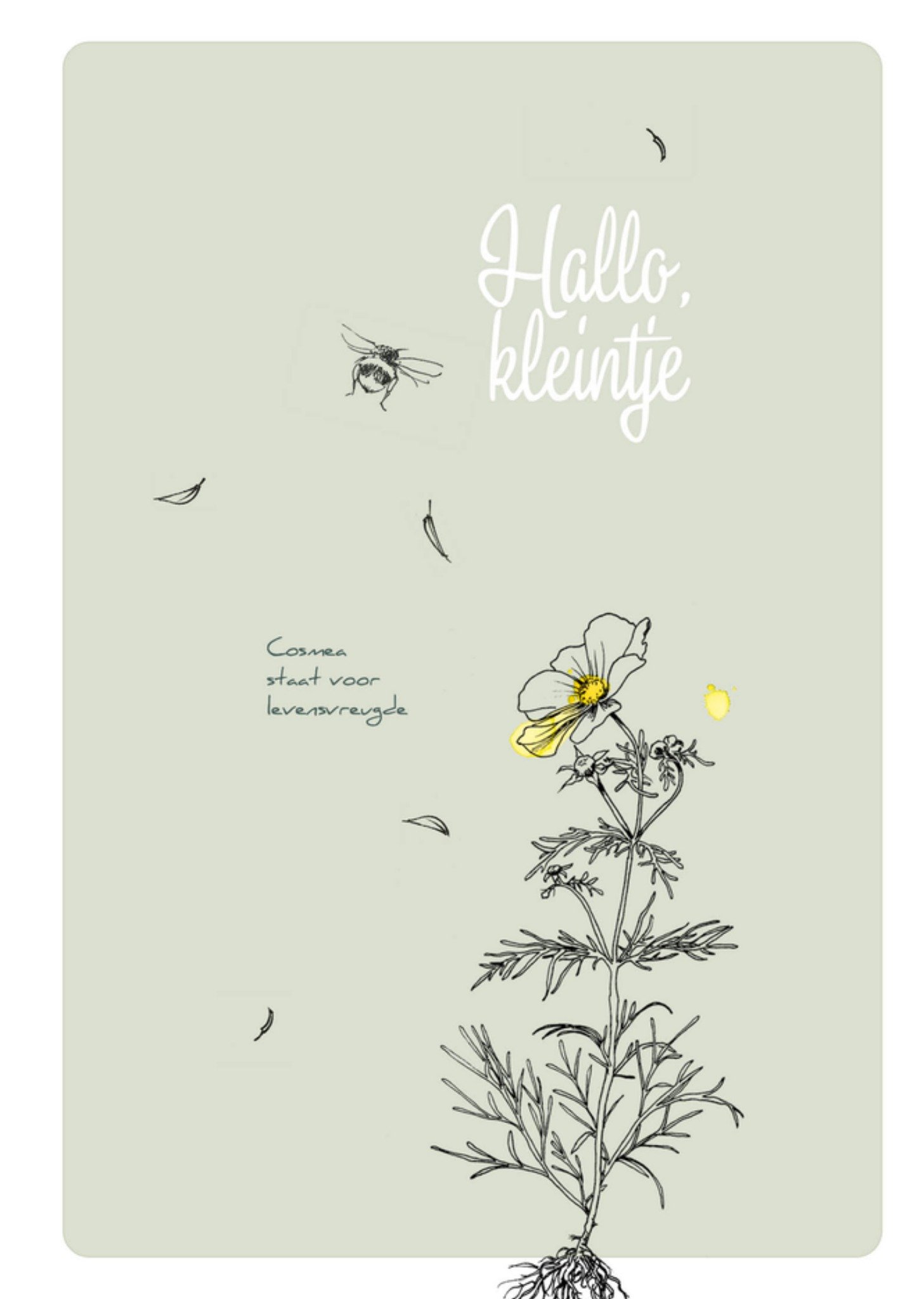 Geboortekaart Cosmea voor levensvreugde Kaart Veer Moon