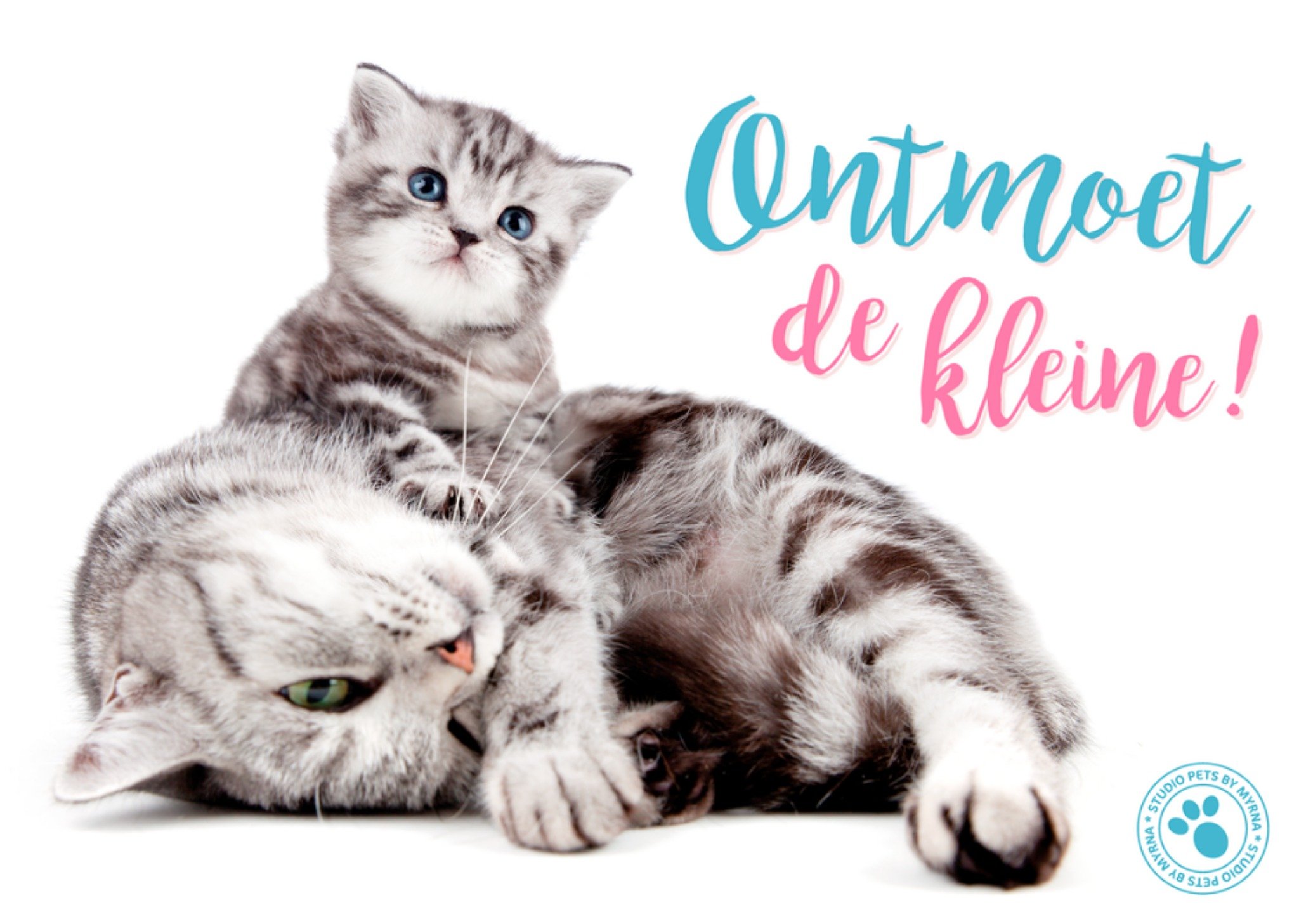 Studio Pets Uitnodiging Kraamfeest Dieren Standard Card