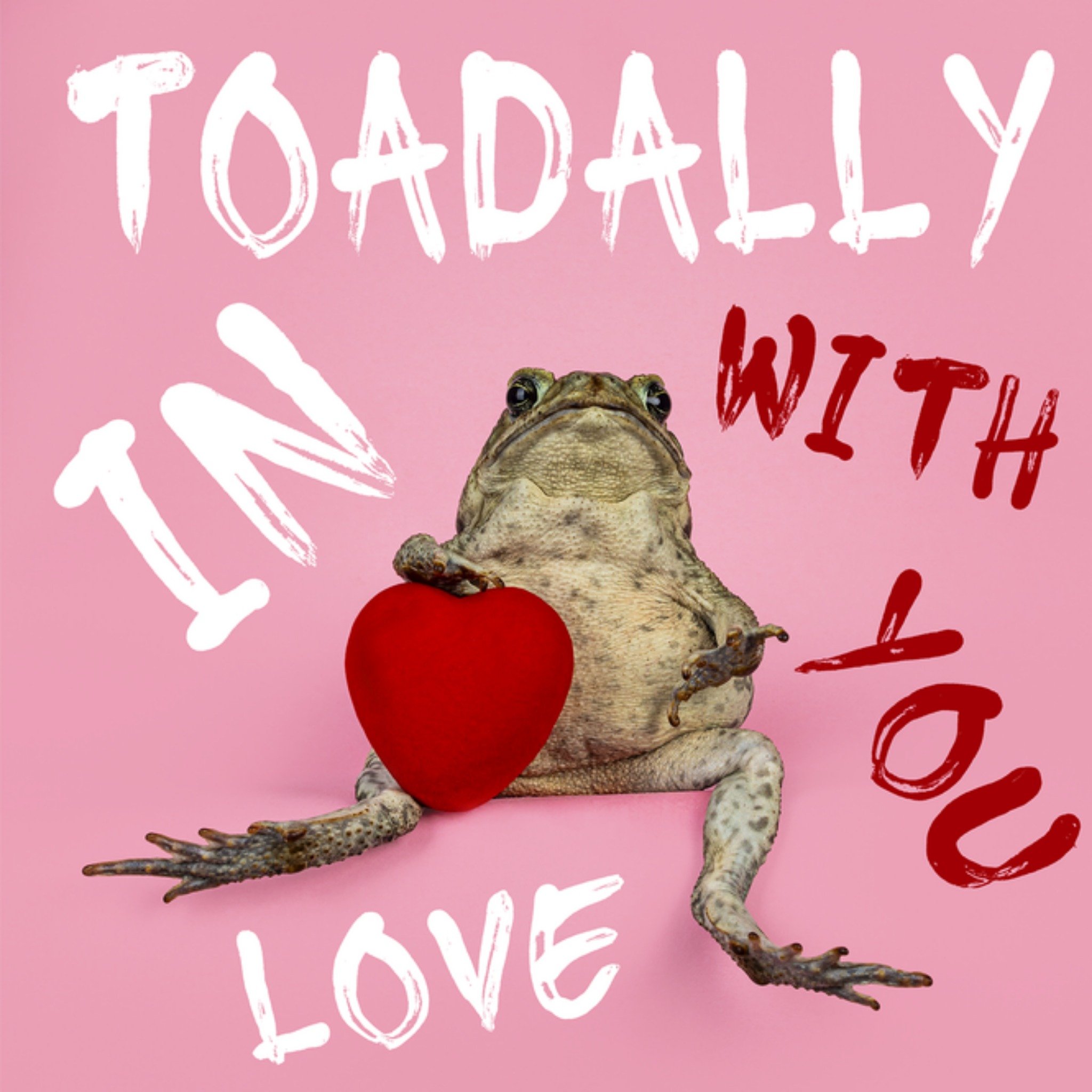 Valentijnskaart toadally in love with you Vierkante Kaart Catchy Images
