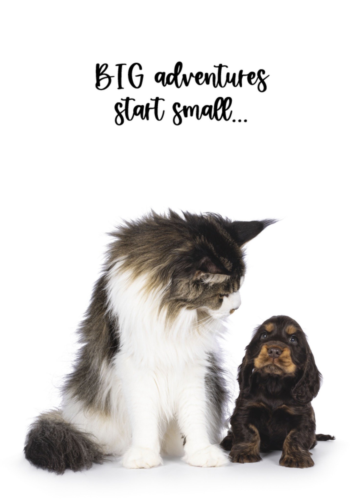 Geboortekaart Big adventures Catchy Images