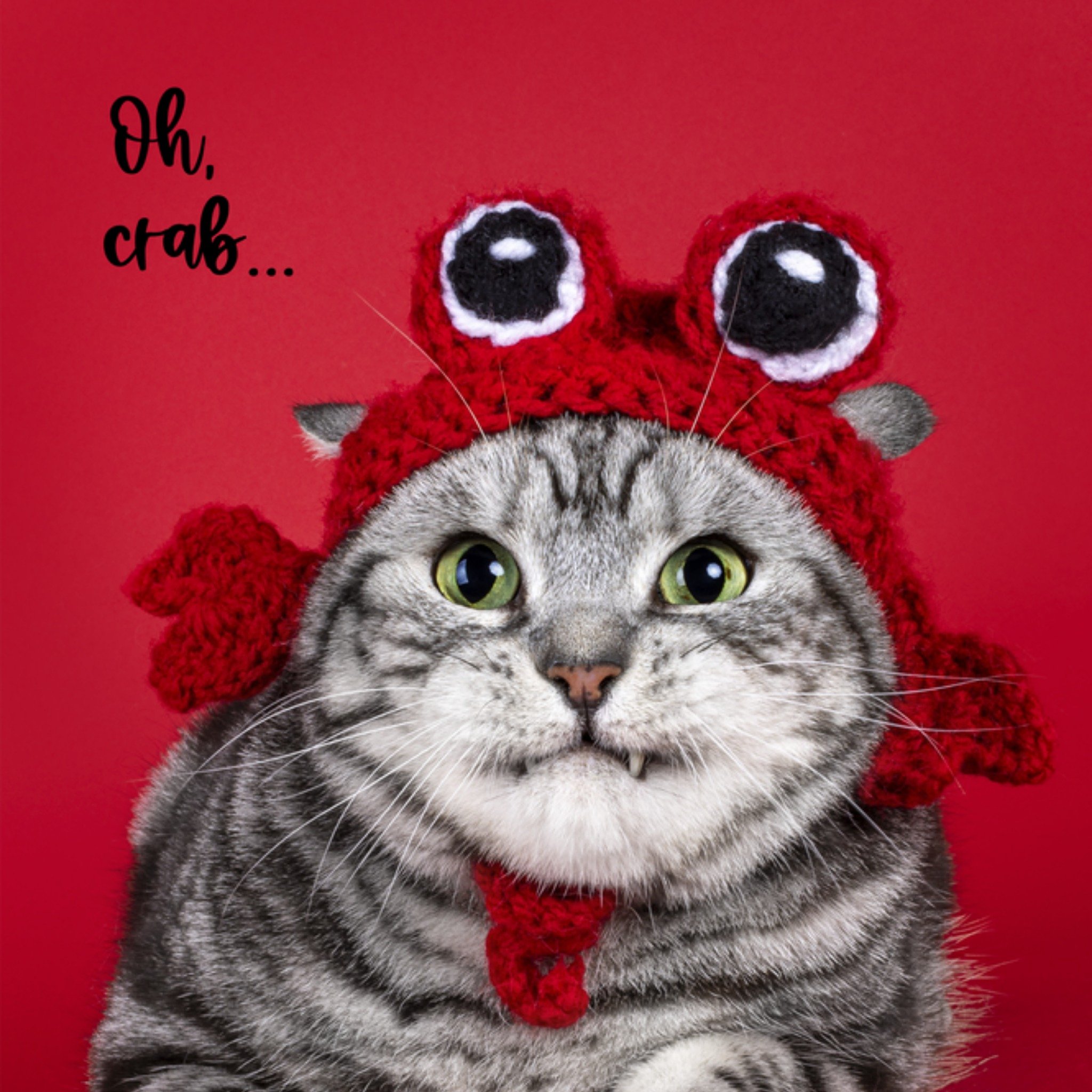 Beterschapskaart Oh crab. Vierkante Kaart Catchy Images