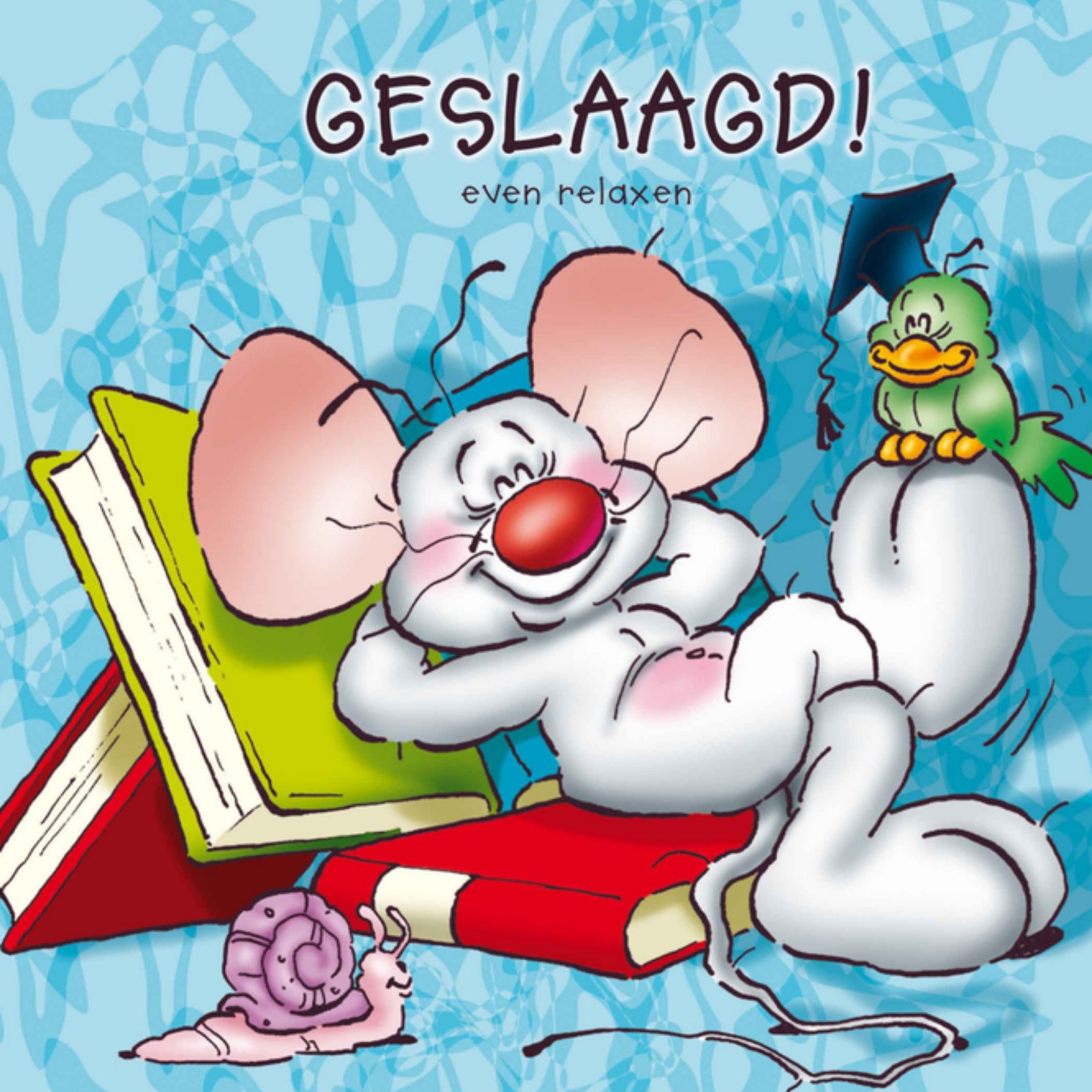 Geslaagd kaart muis illustratie Vierkante Kaart Doodles