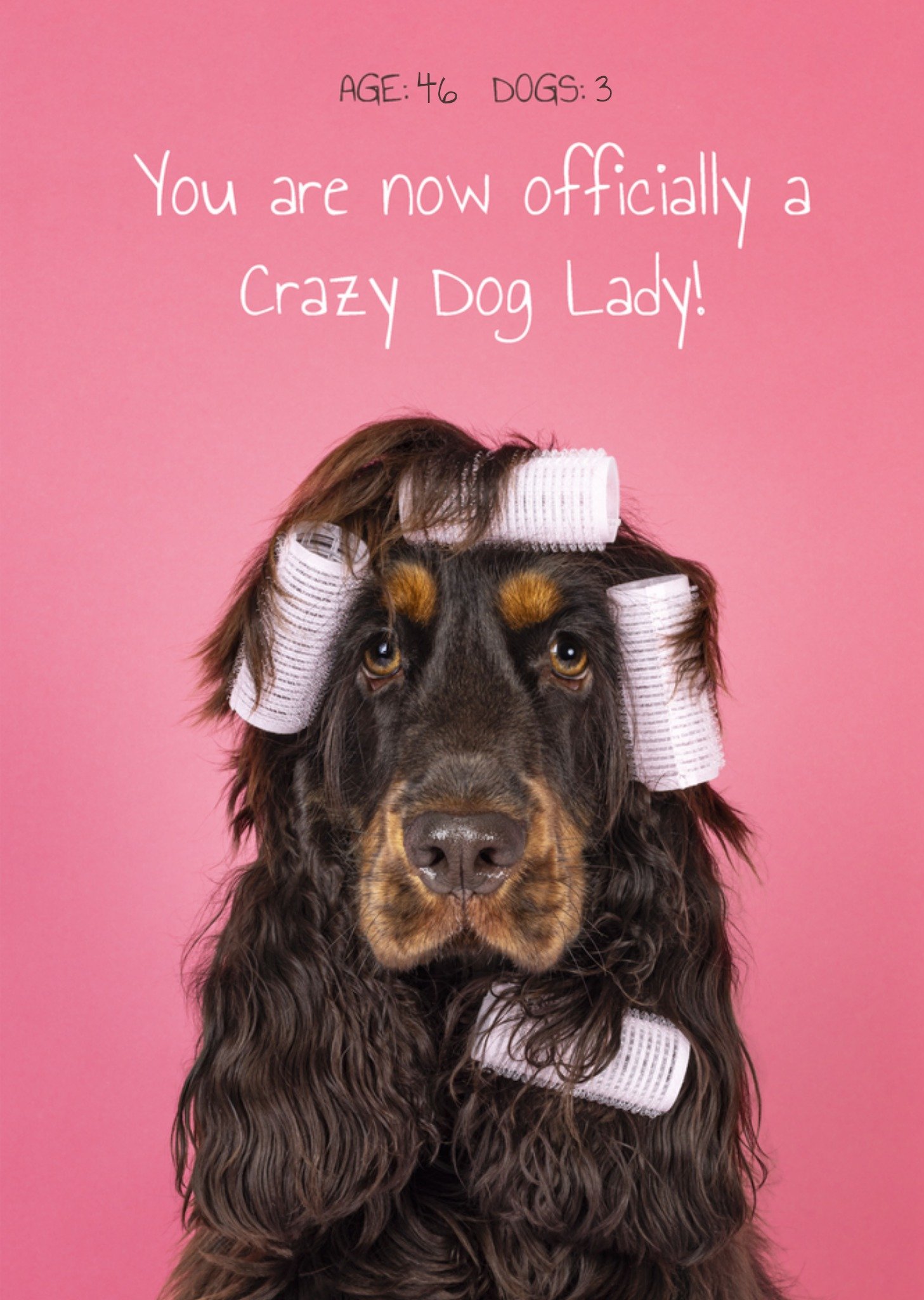 Verjaardagskaart Crazy dog lady Kaart Catchy Images