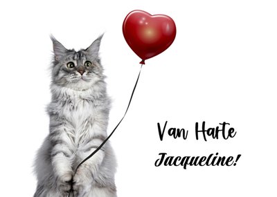 Kat Met Hartballon Van Harte Kaart